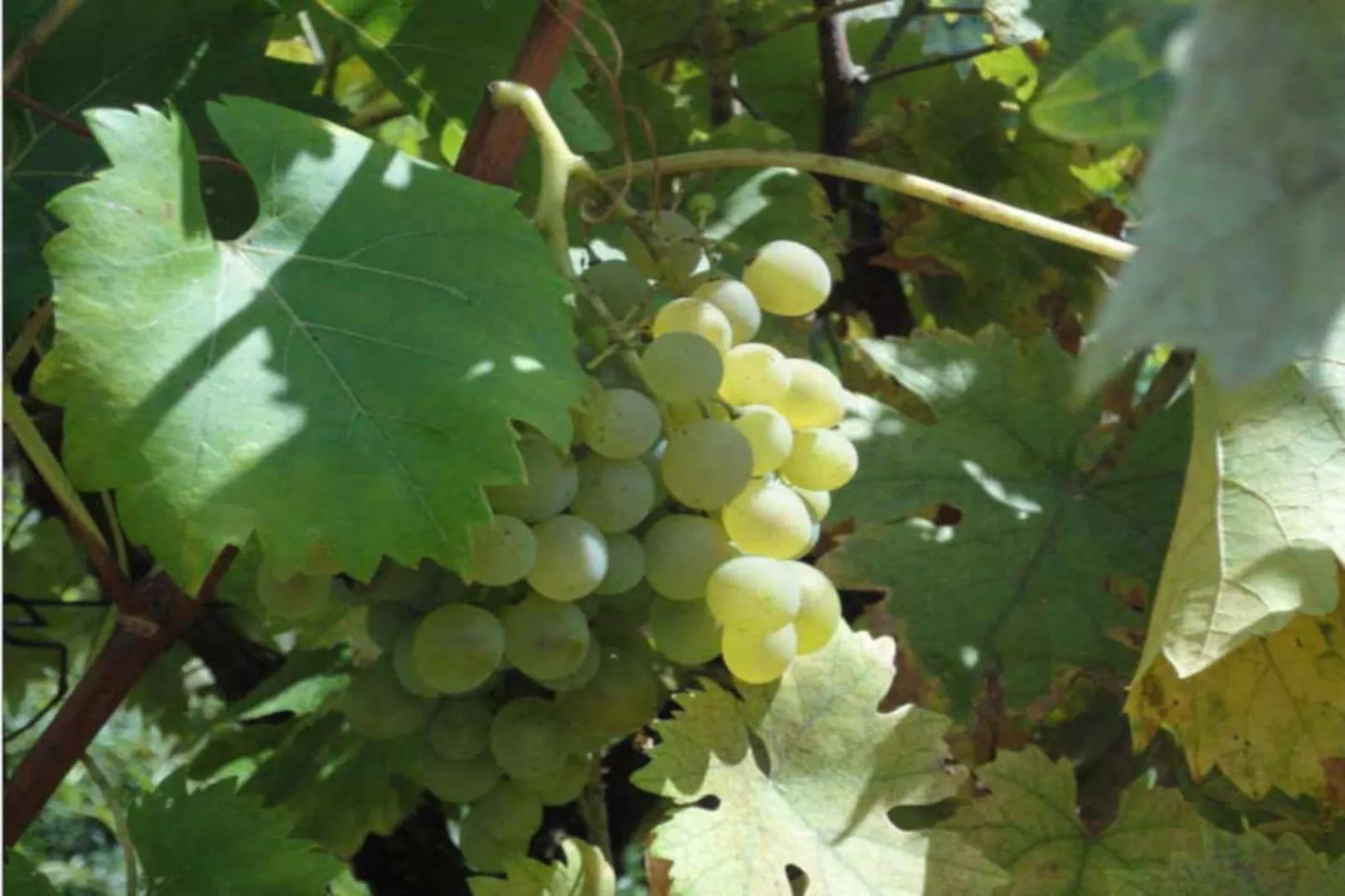 Noelie 1er Etage - Ambiance