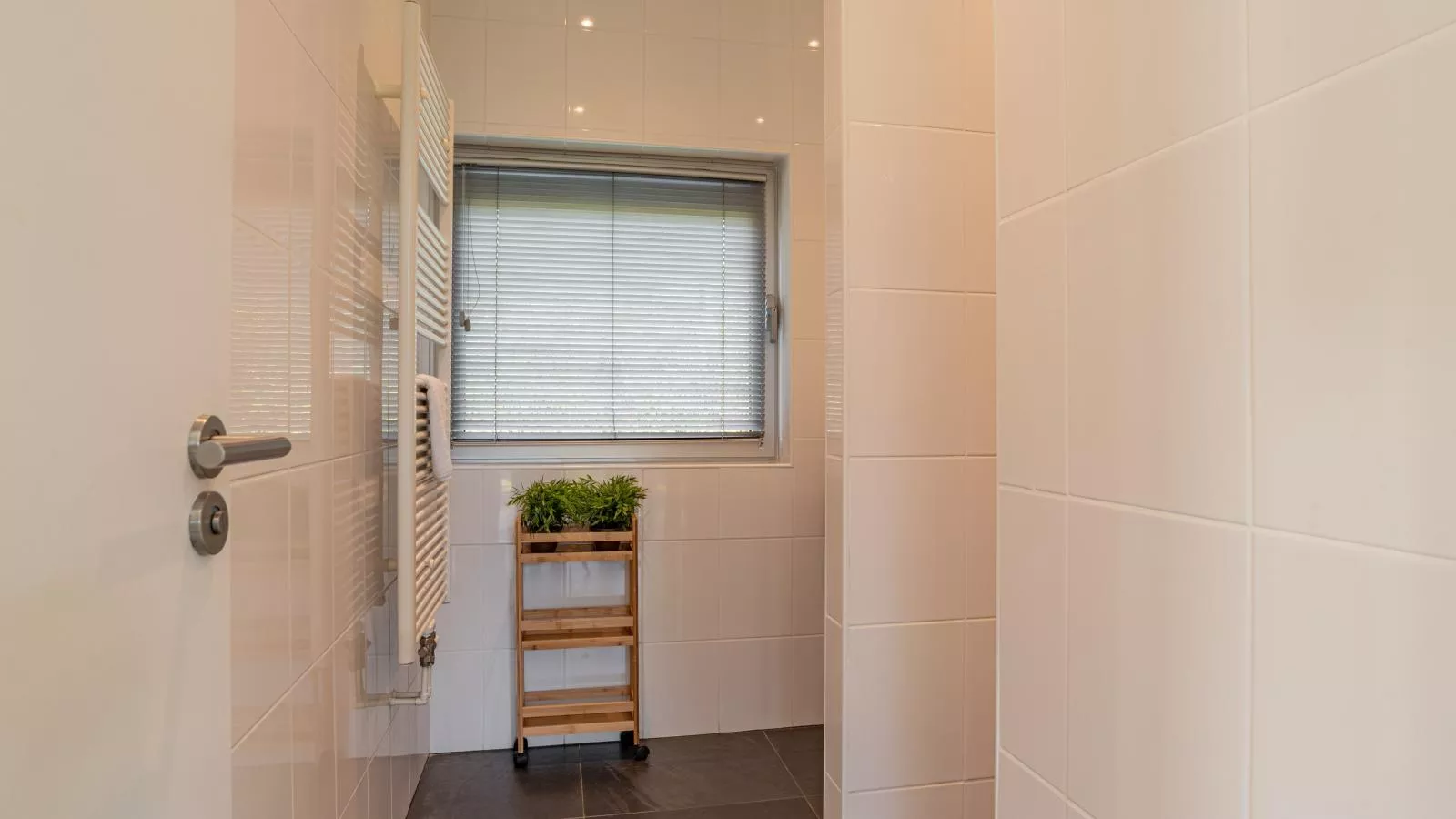 Zwaluw aan Zee - Bathroom