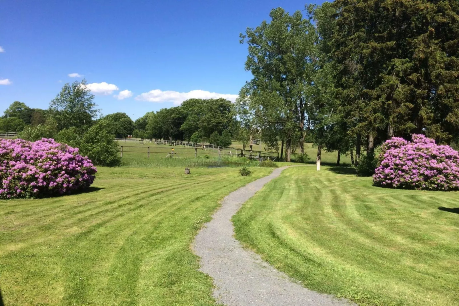 Hotel Harzhaus - Ferienhaus 3 - Zones été à 1 km