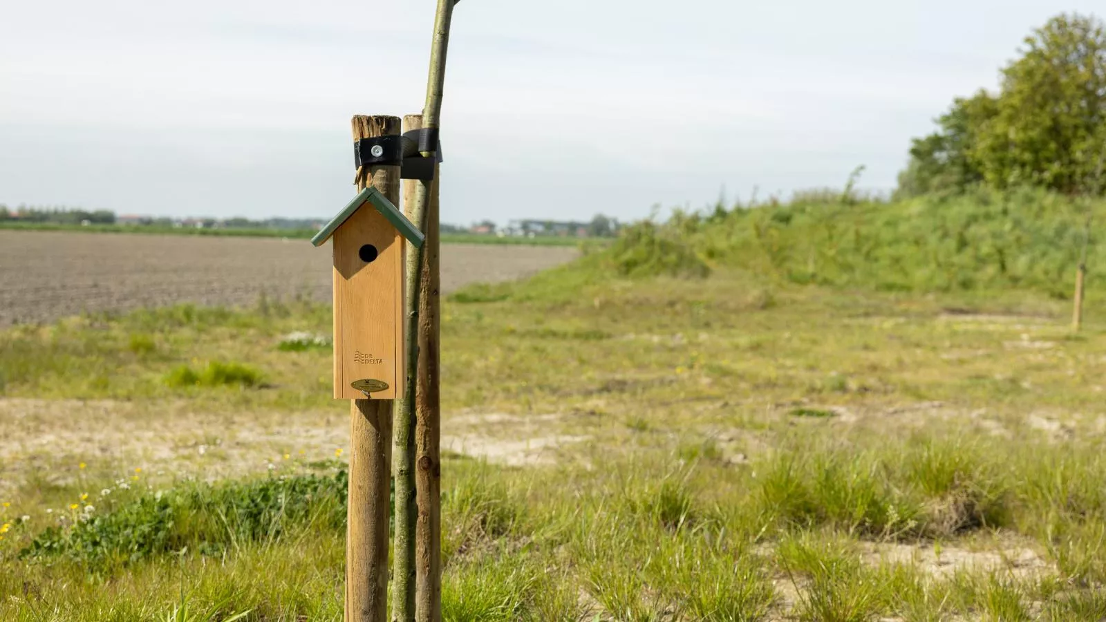 Natuur Rietzoom - Garten Sommer