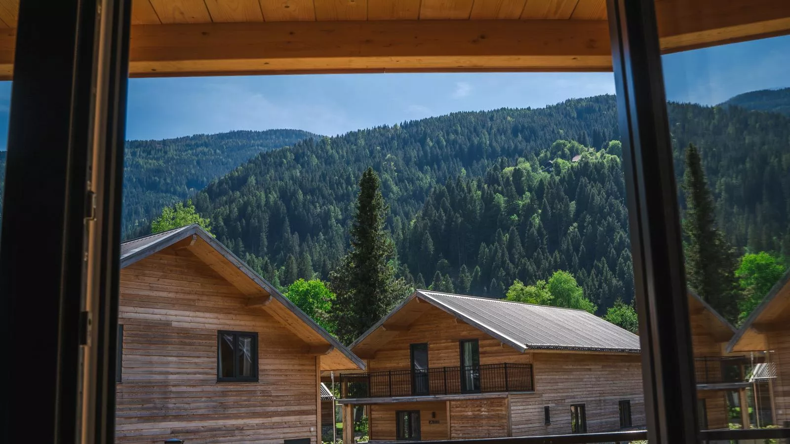 Seeblick - Aussicht Sommer