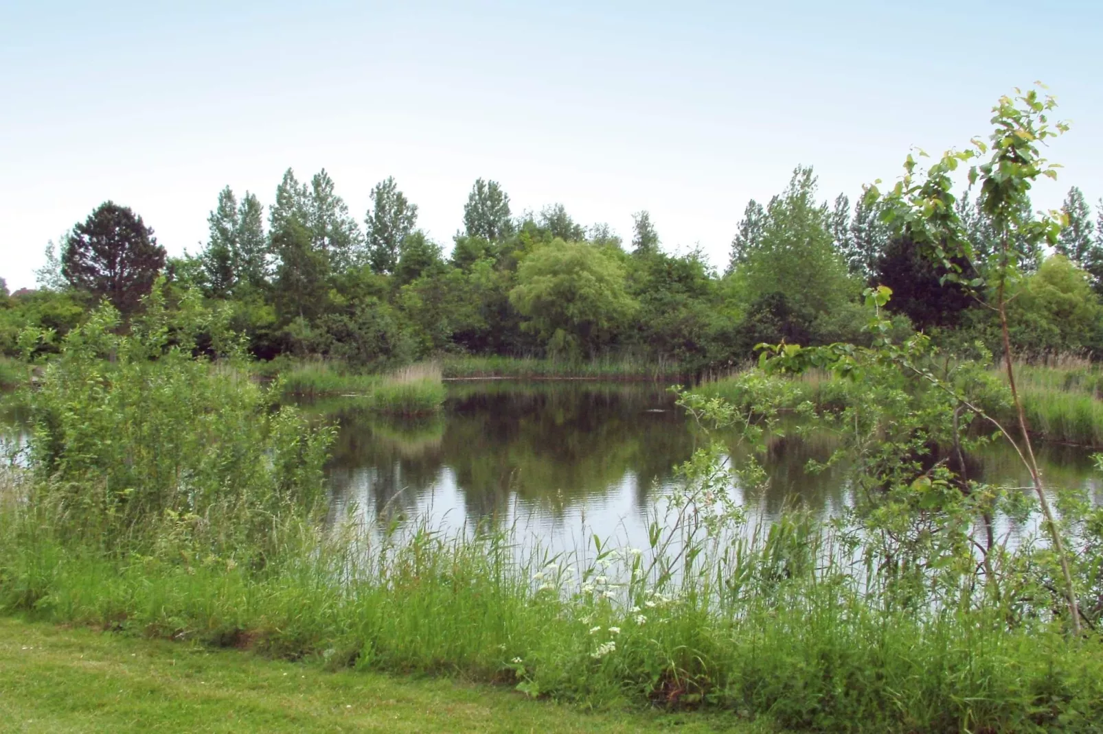 Maison de vacances pour 6 a Tranekær-By Traum - Vue