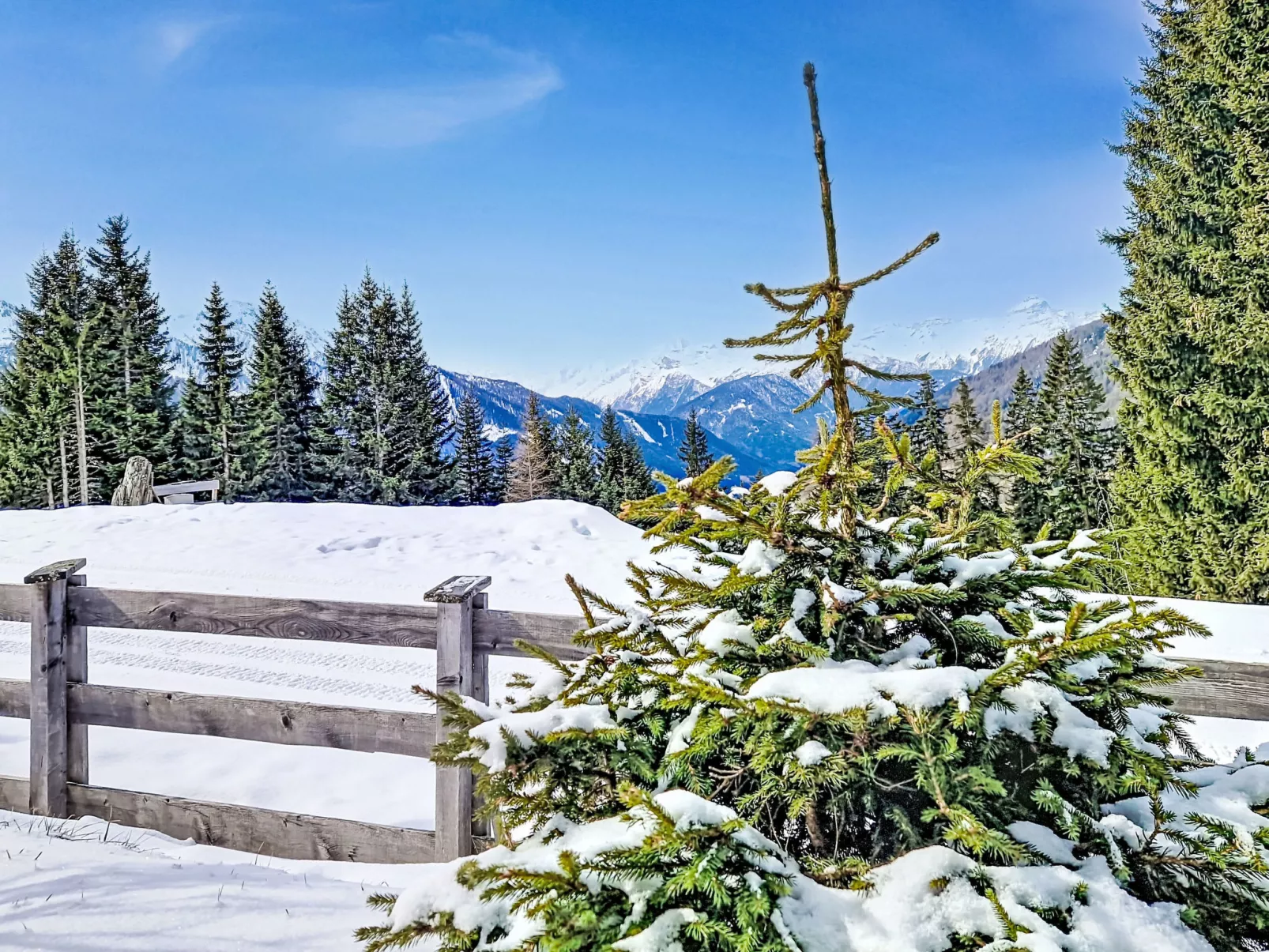 Naviser Hütte - Outside