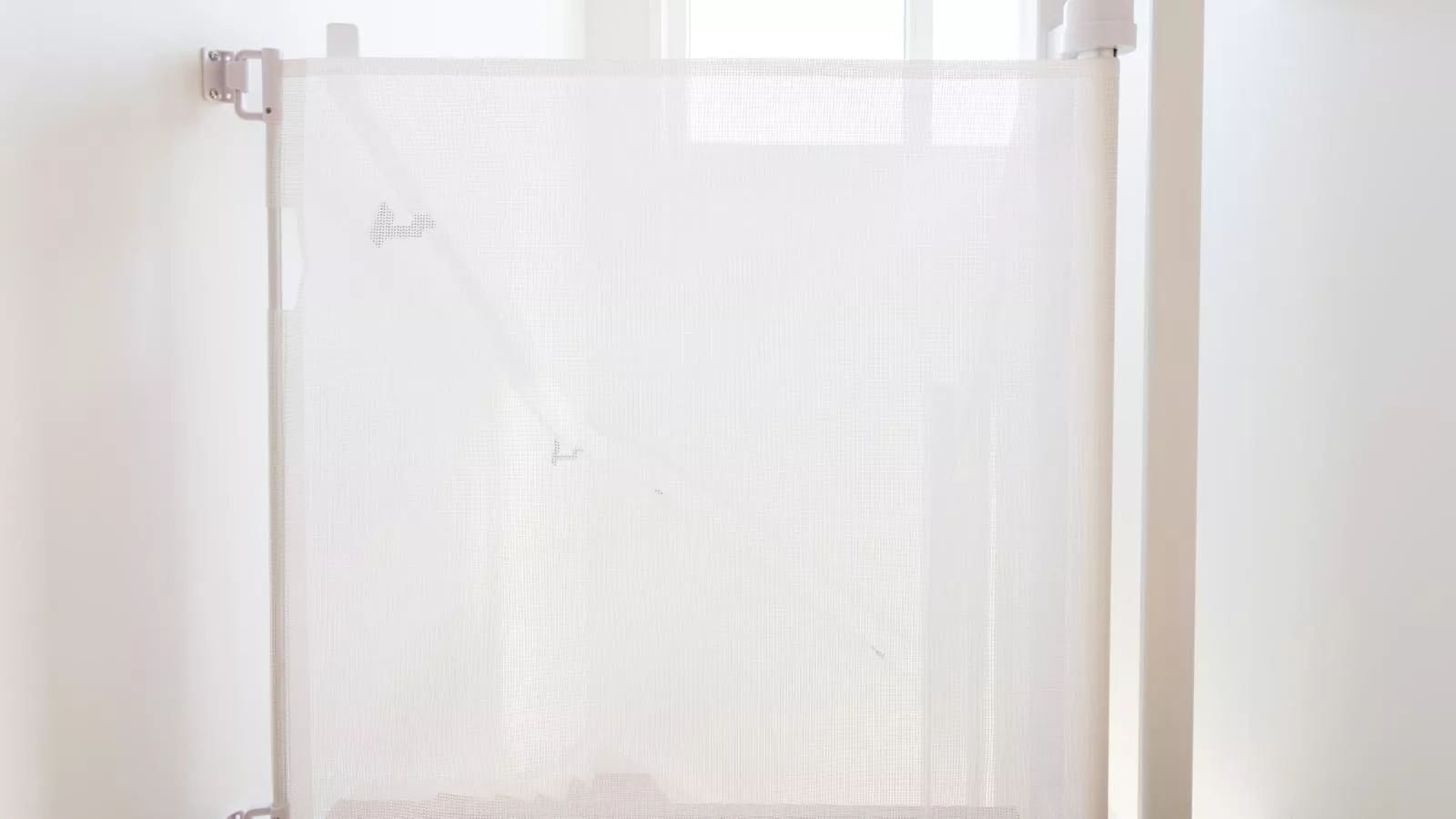 Duin Bos Retreat Oostkapelle - Hall & reception