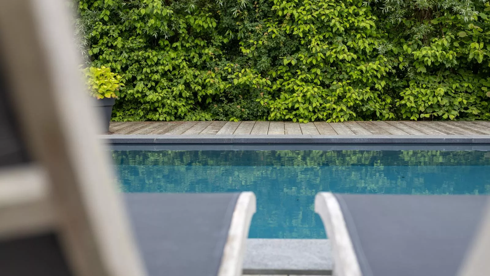 Zeeuwse Polderlodge - Ambiance