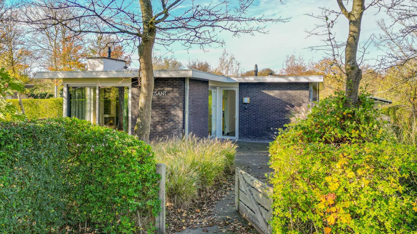 Zwaluw aan Zee - Exterior in summer