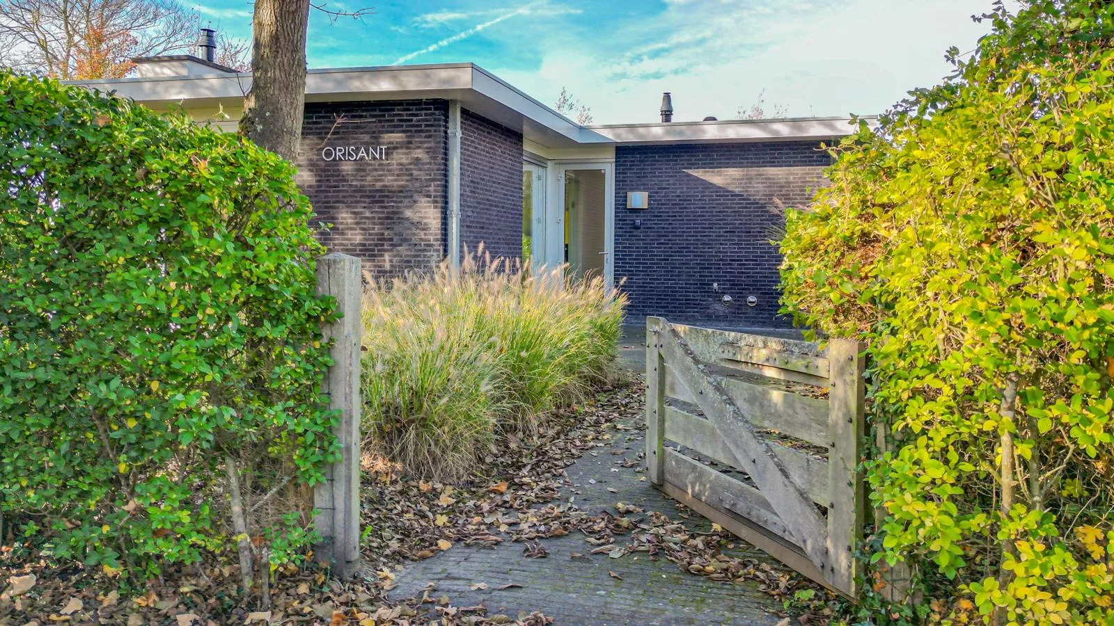 Zwaluw aan Zee - Exterior in summer