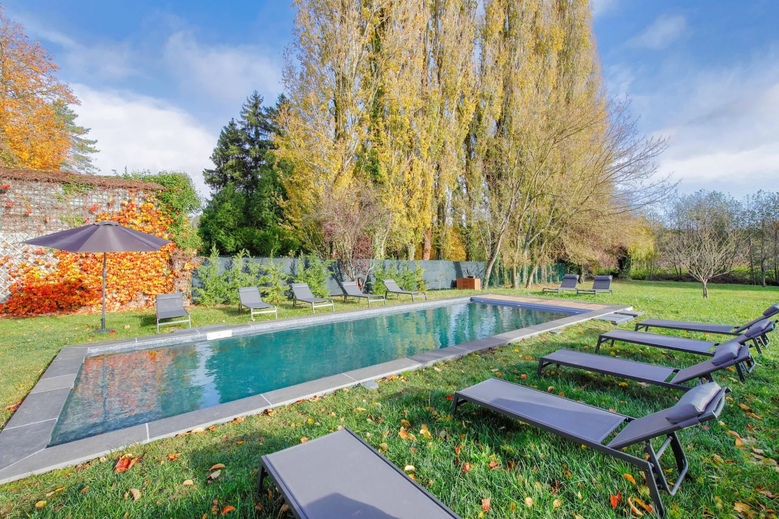 Maison Nelson - Piscine