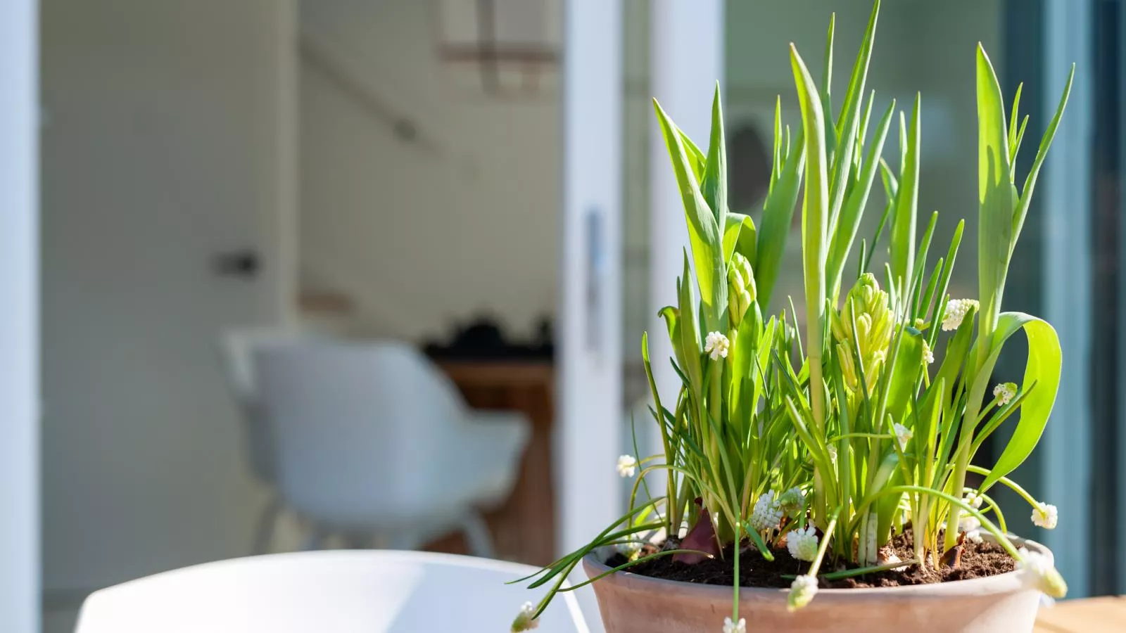 Duin Bos Retreat Oostkapelle - Ambiance