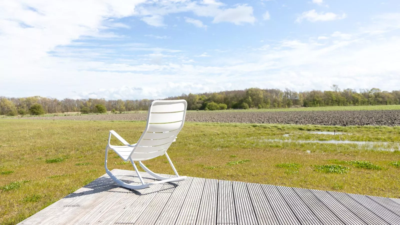 Natuur Oeverzicht - Aussicht Sommer
