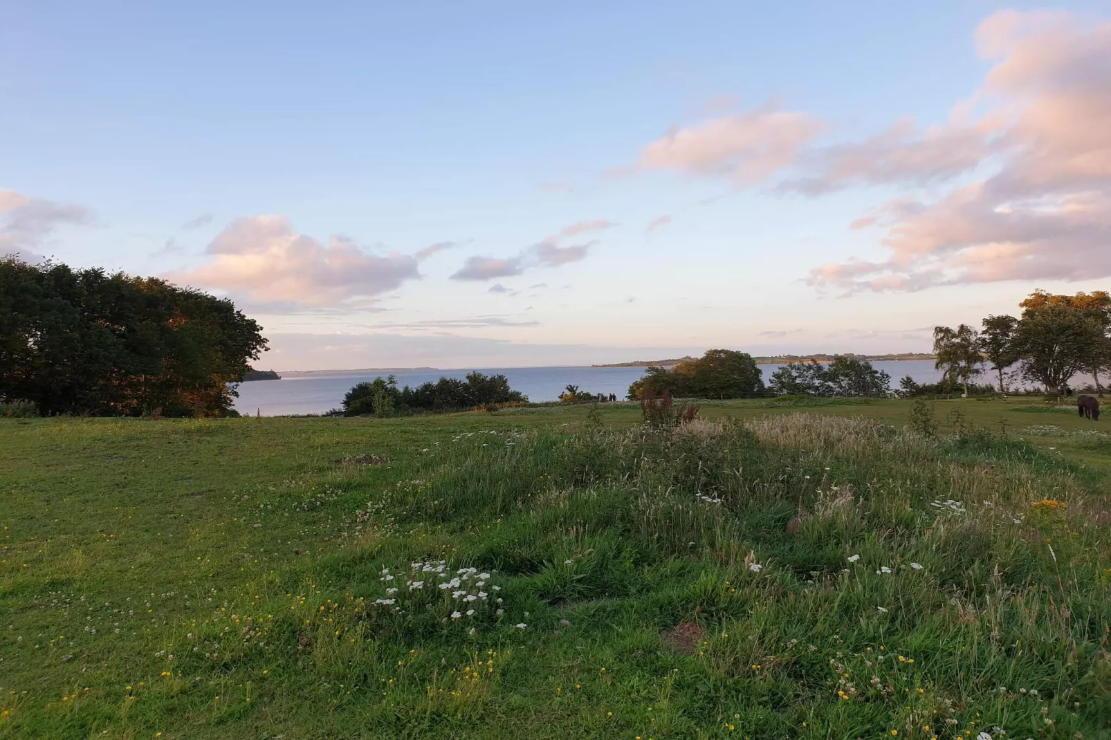 Maison de vacances pour 5 a Aabenraa-By Traum - Non tagué