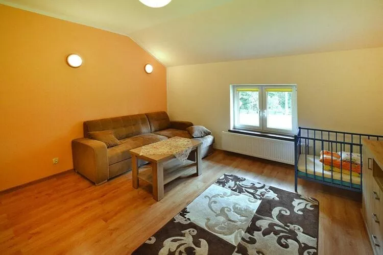 Mieszkanie wakacyjne dla 10 osób Biskupice-Living room
