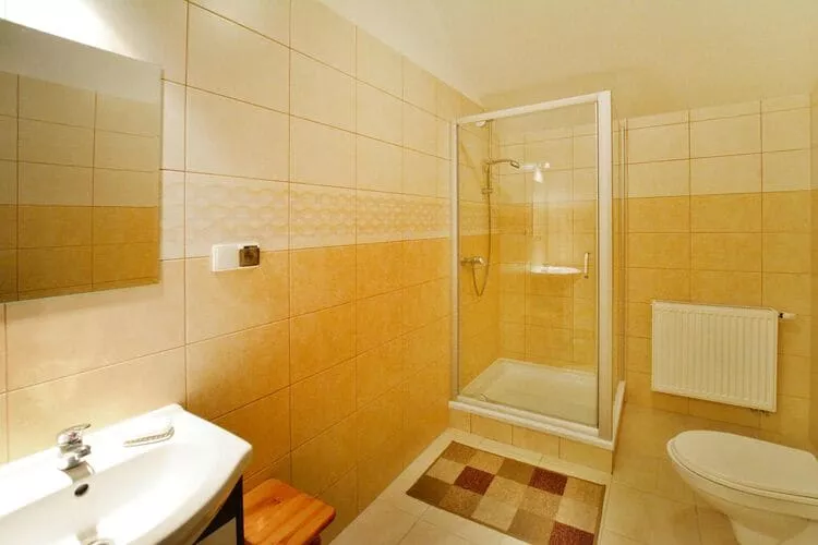 Mieszkanie wakacyjne dla 10 osób Biskupice-Bathroom