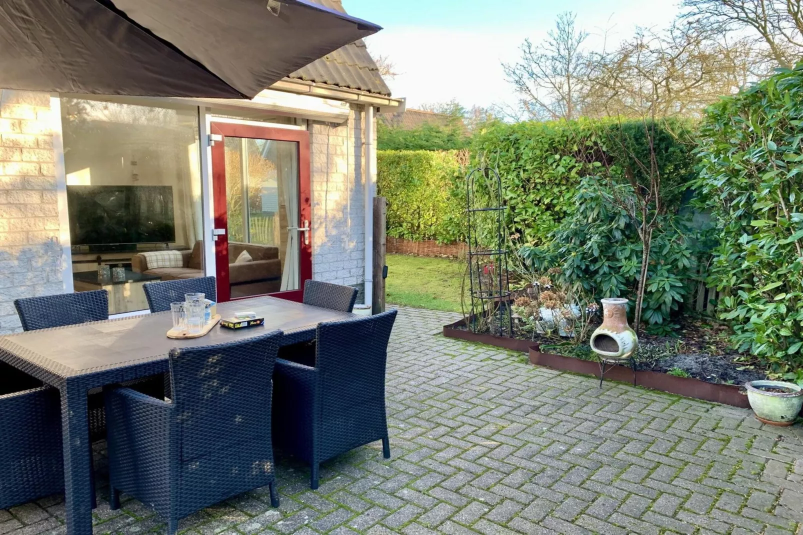 Campanula 54 - Terrace balcony