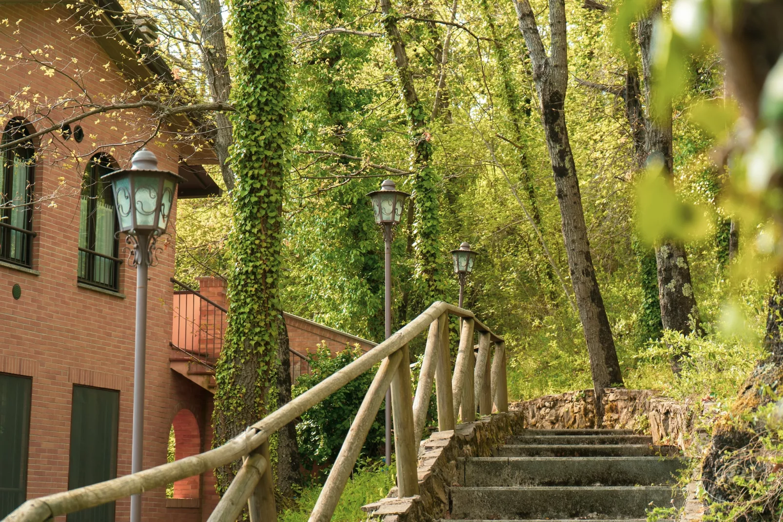 Assisi C5 - 2 pax - Exterior in summer