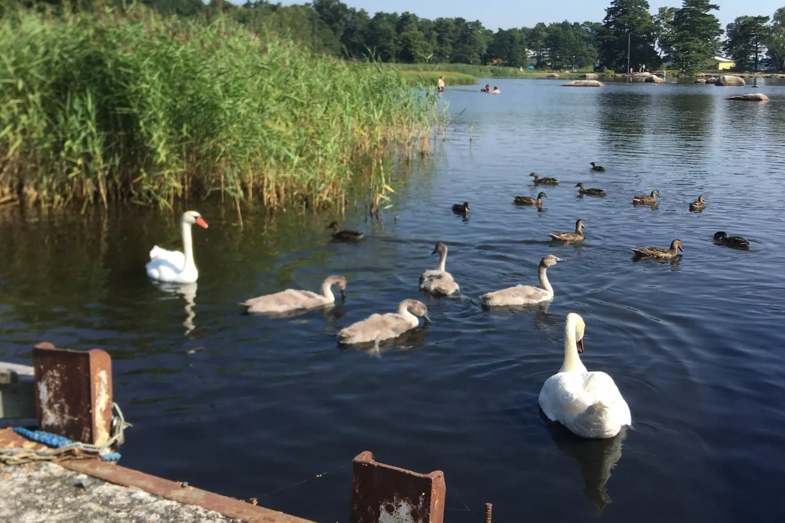 4 star holiday home in SÖLVESBORG - Outdoor