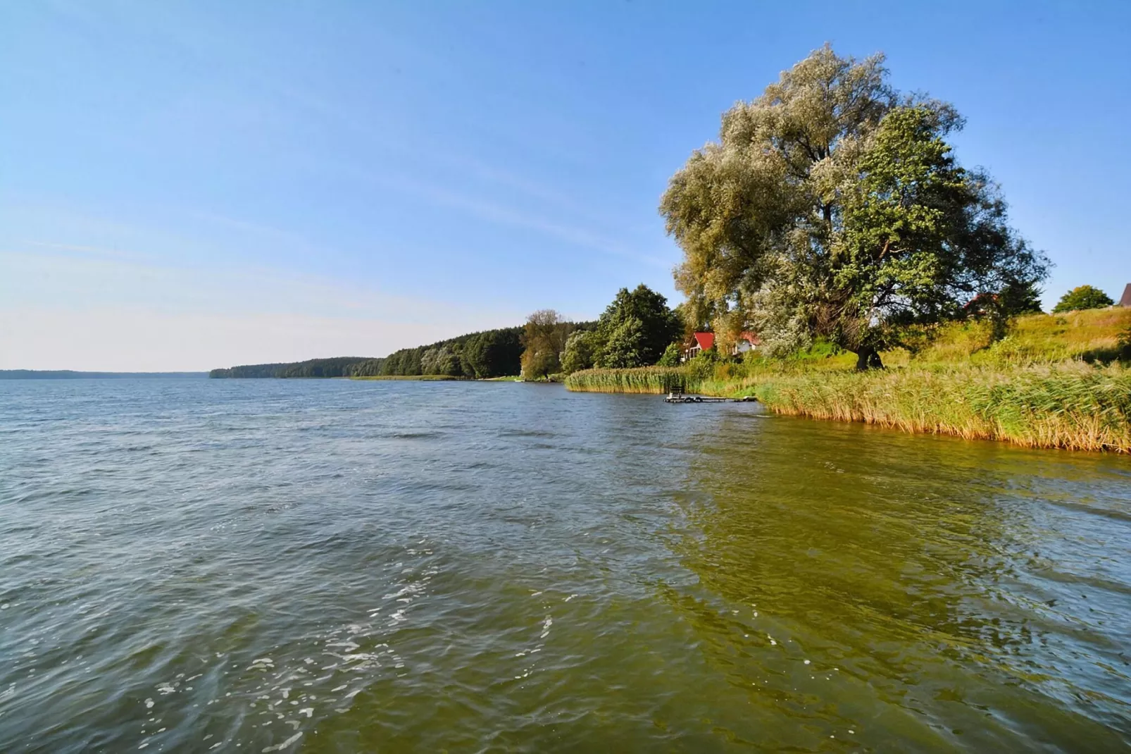 Dom wakacyjny 85 m2 dla 6 osób Dąbrowica-Areas summer 5km