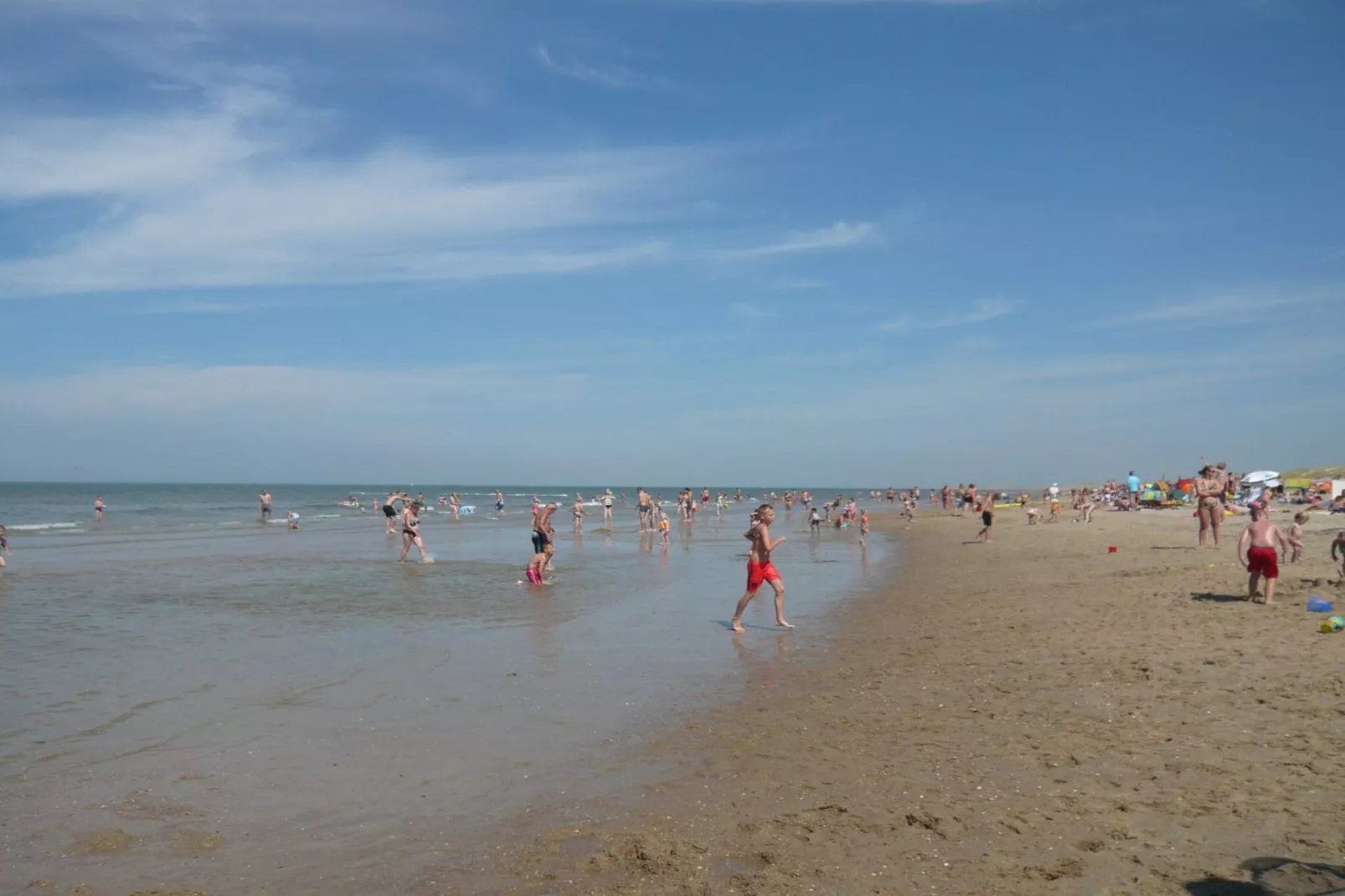 Campanula 54 - Area within 5km in winter