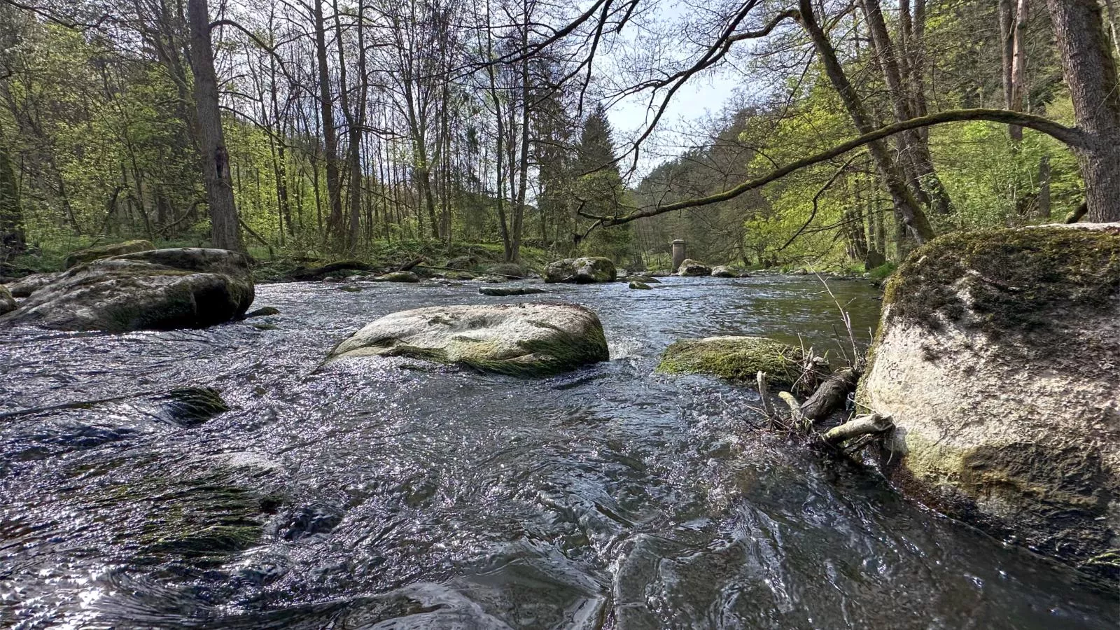 Feriendorf Seeblick - Tiny Nr 5 - Gebiete Sommer 1 km