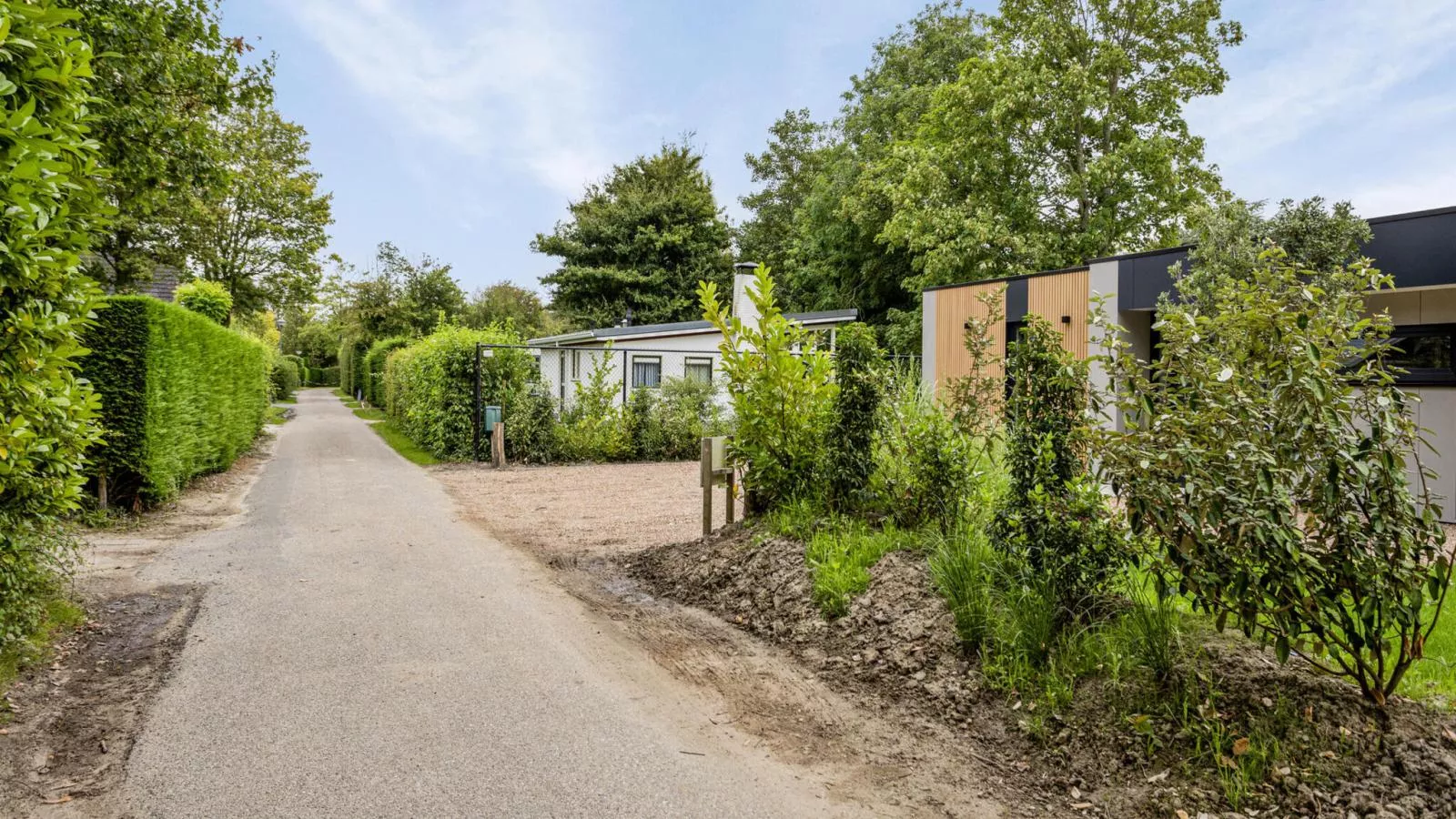 Het Duinnest - Aussicht Sommer