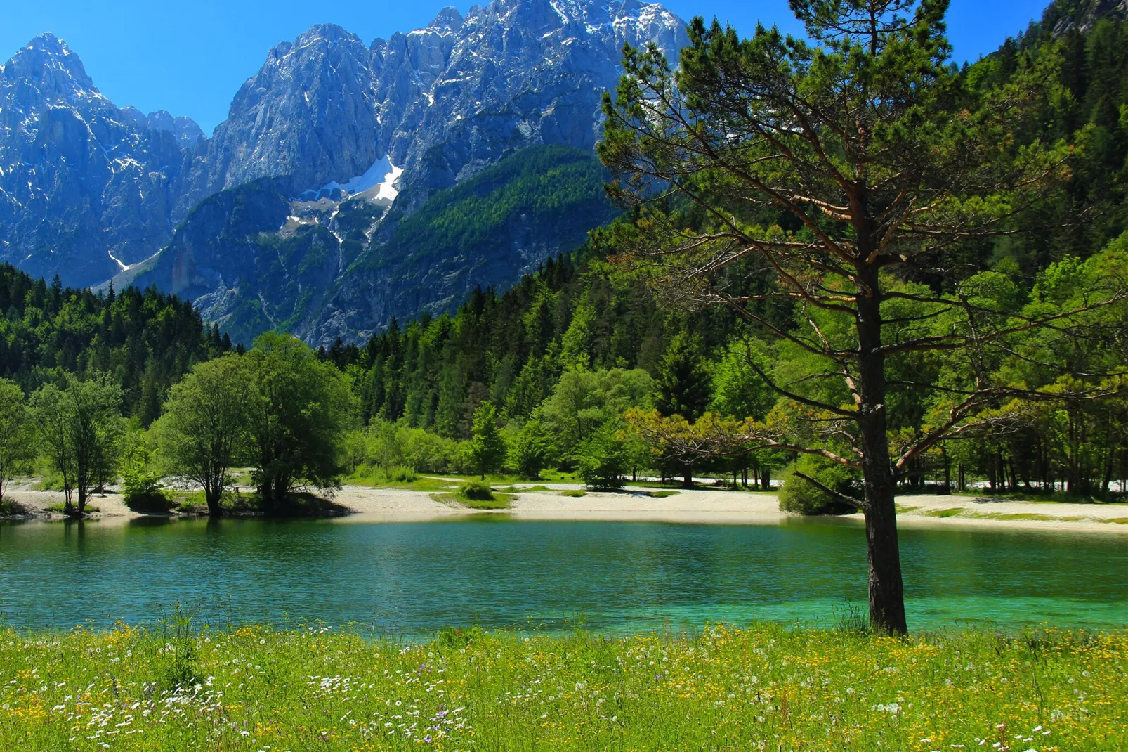 Pocitniska hisa Gobela-Areas summer 5km