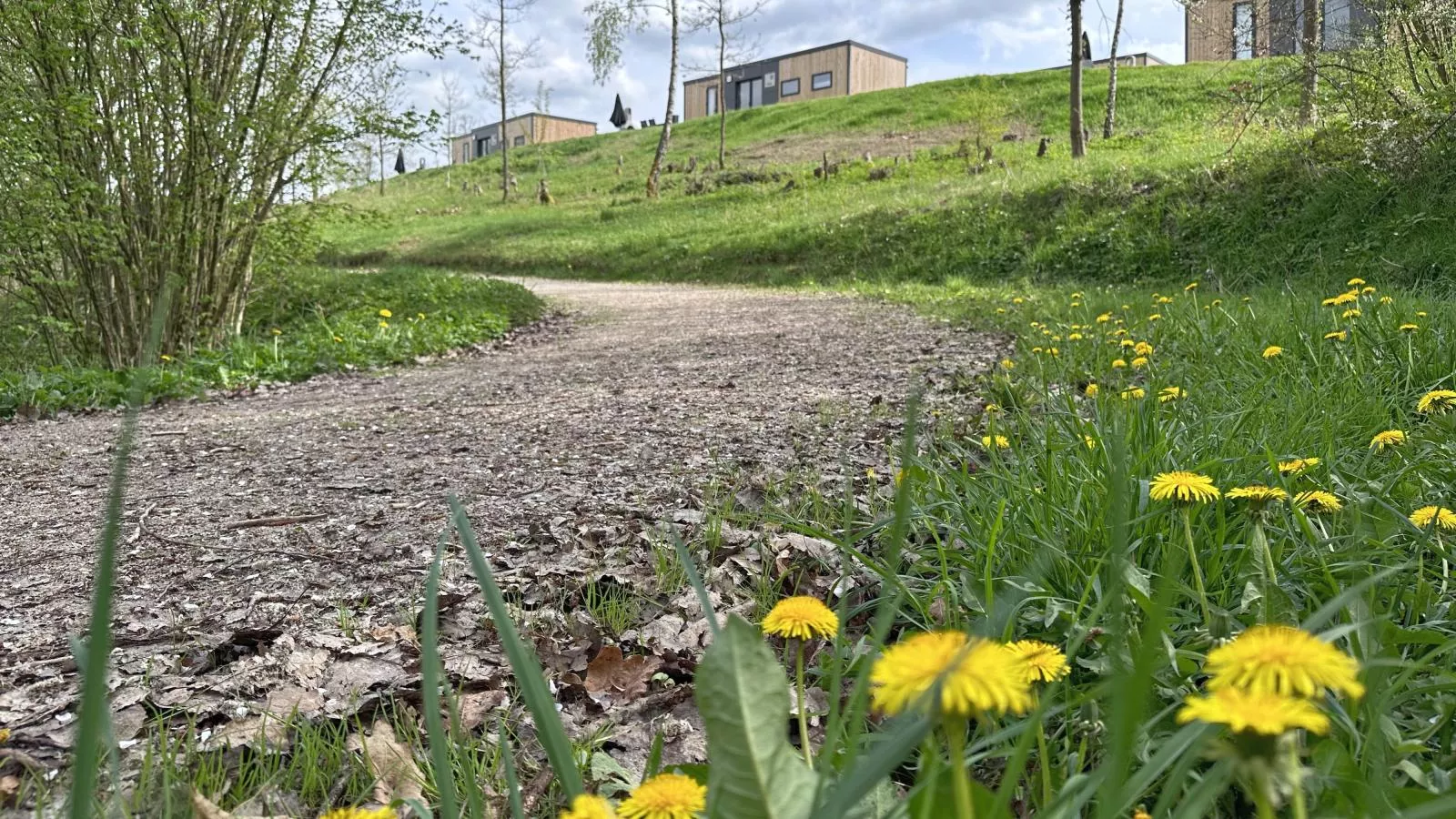 Feriendorf Seeblick - Tiny Nr 5 - Gebiete Sommer 1 km