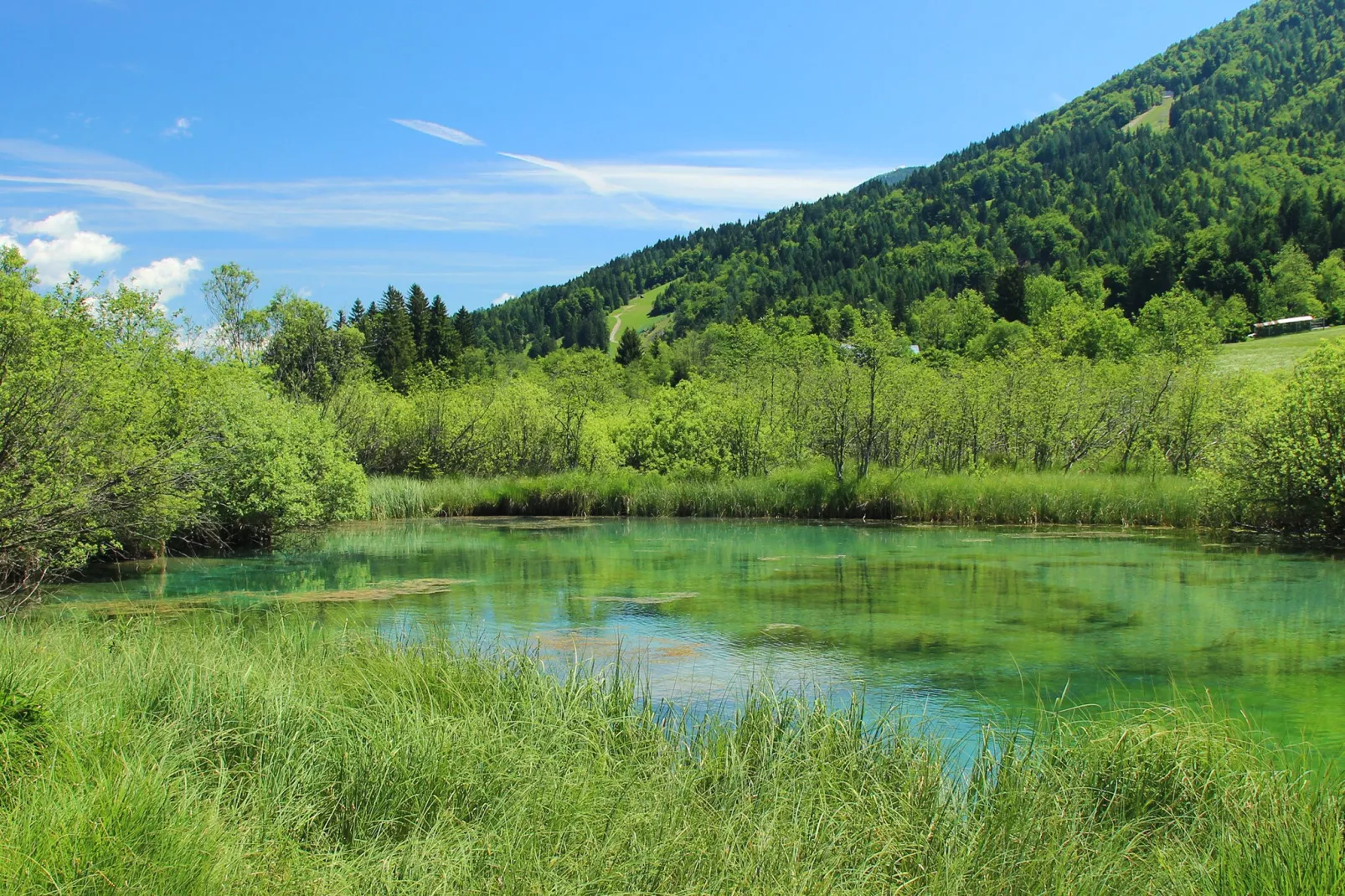 Pocitniska hisa Gobela-Areas summer 5km