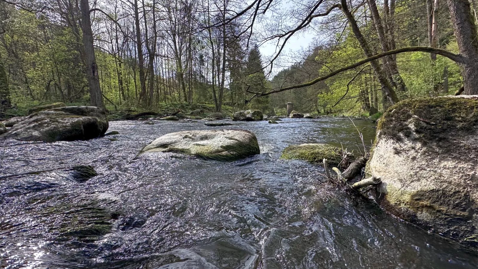 Feriendorf Seeblick - Tiny Chalet Nr 9 - Gebiete Sommer 5 km