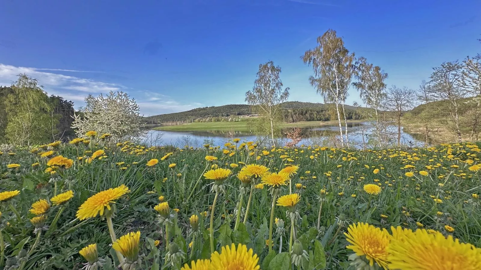Feriendorf Seeblick - Tiny Chalet Nr 9 - Wasserblick