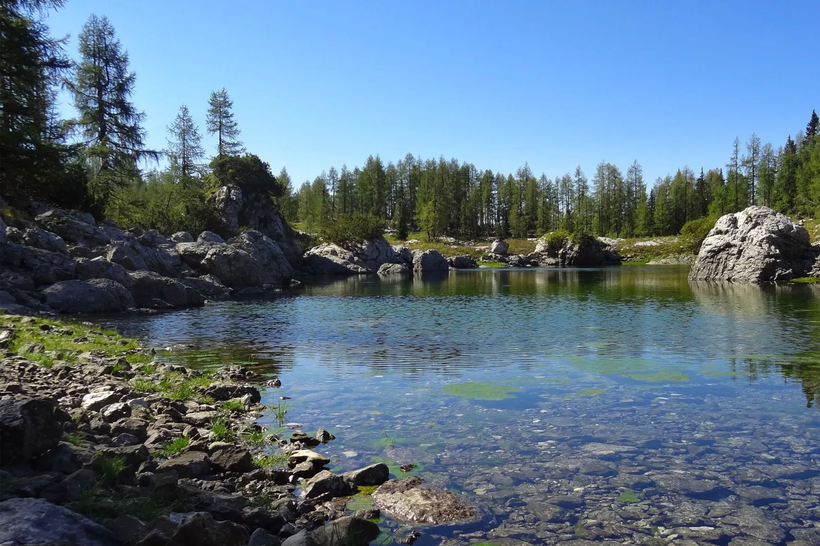 Pocitniska hisa Gobela-Areas summer 20km