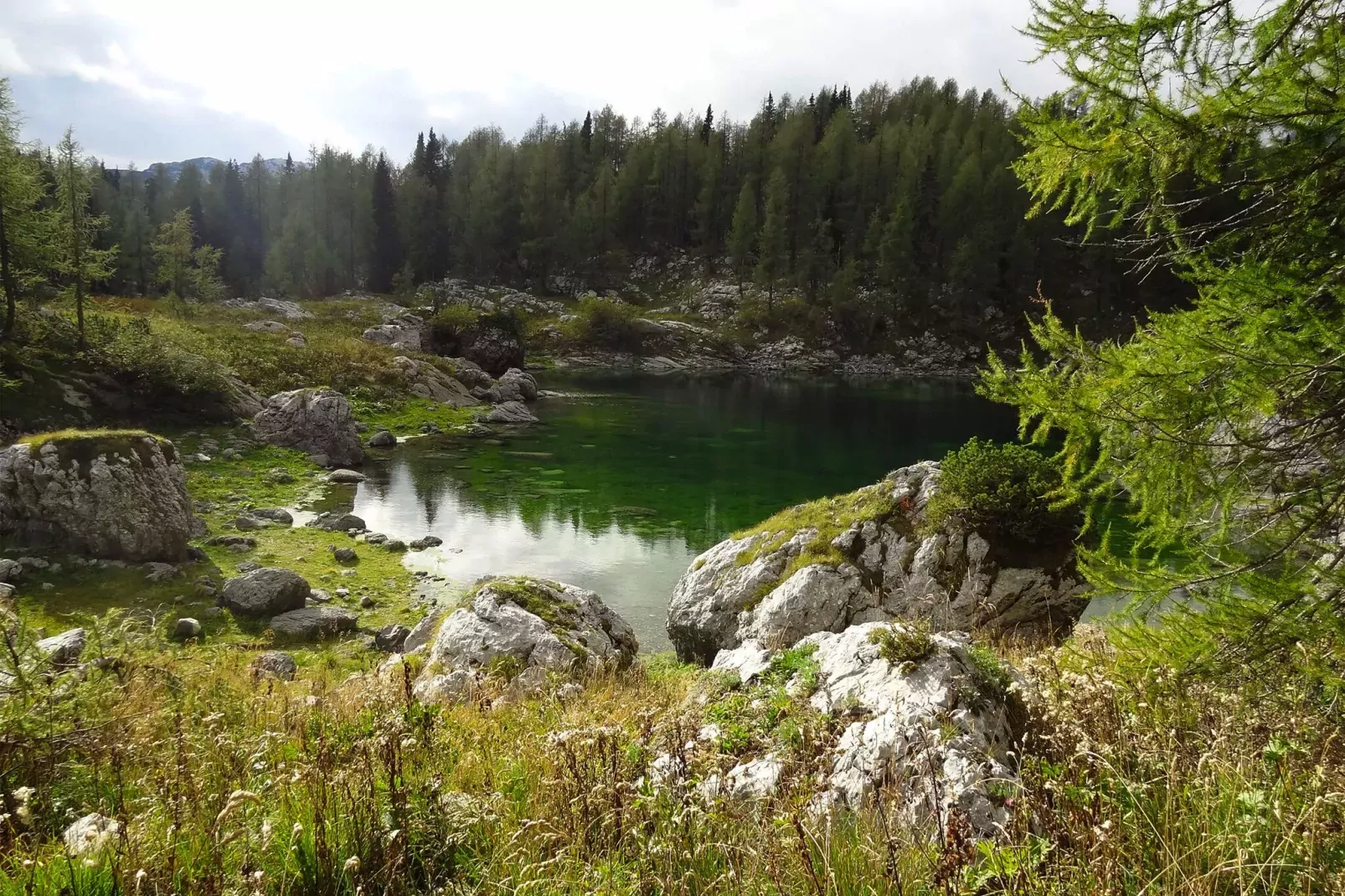 Pocitniska hisa Gobela-Areas summer 20km
