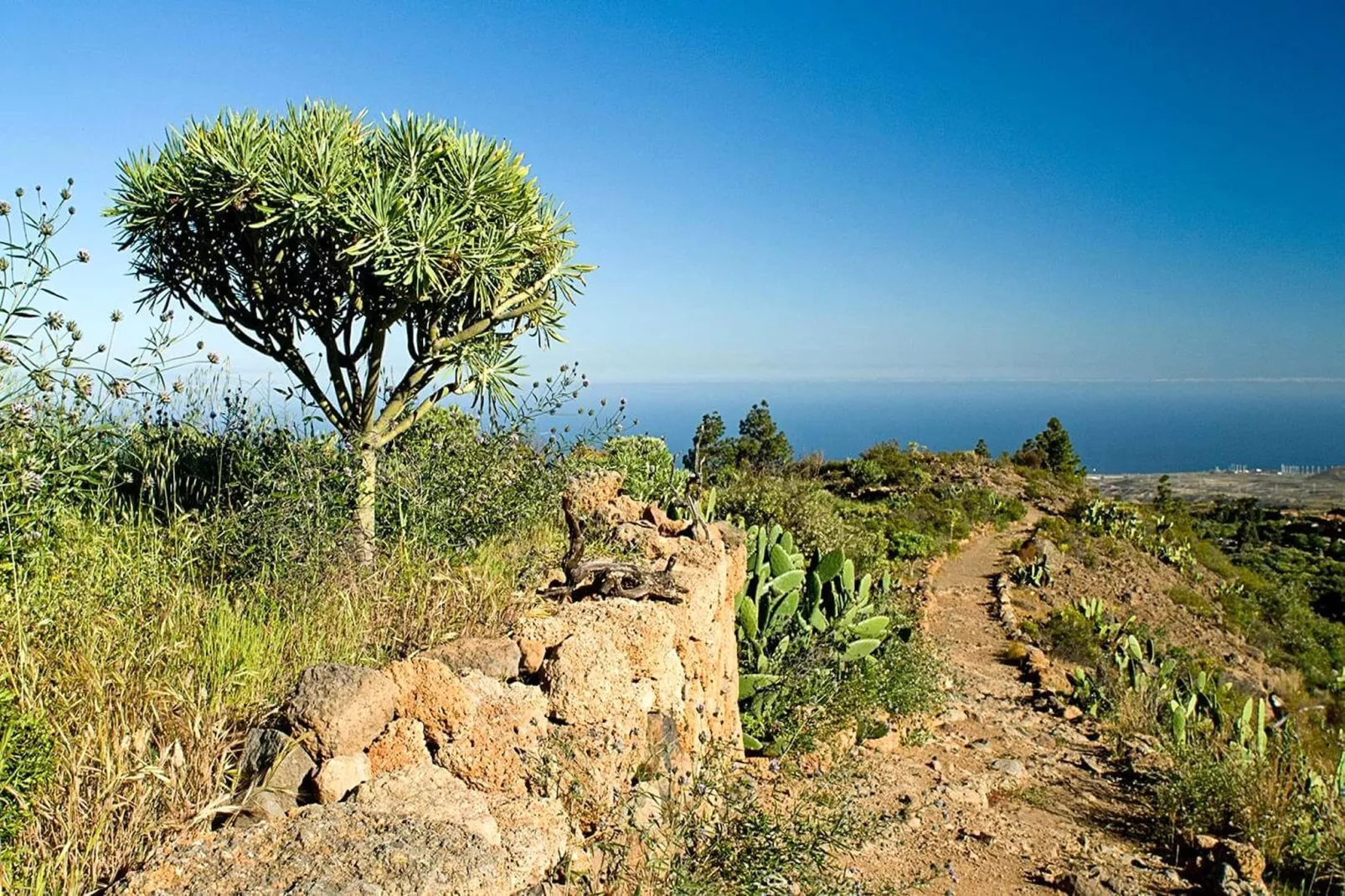 Casa Samuel - Areas within 5km in summer