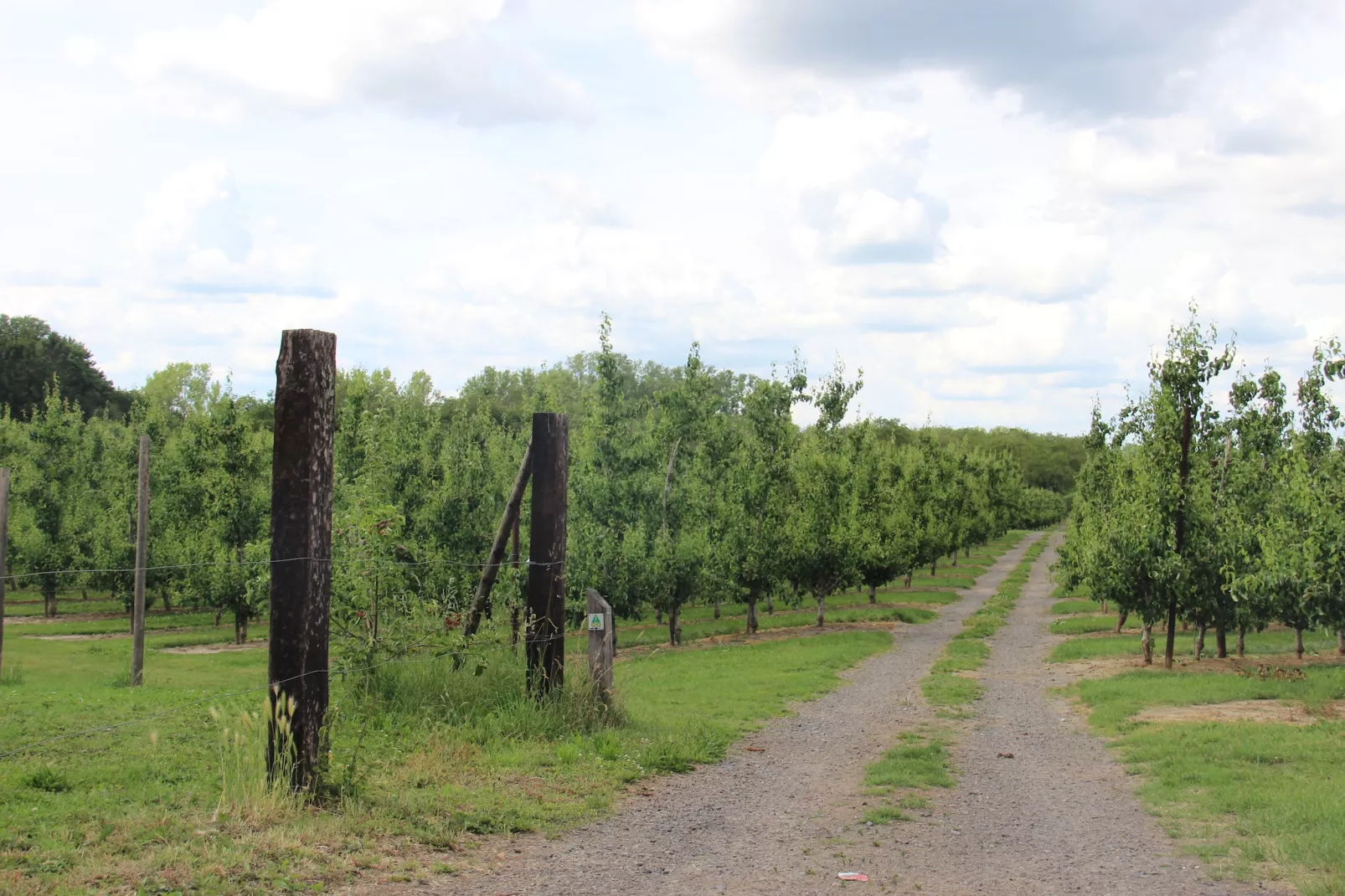 Heers Beneden - Gebiete Sommer 1 km