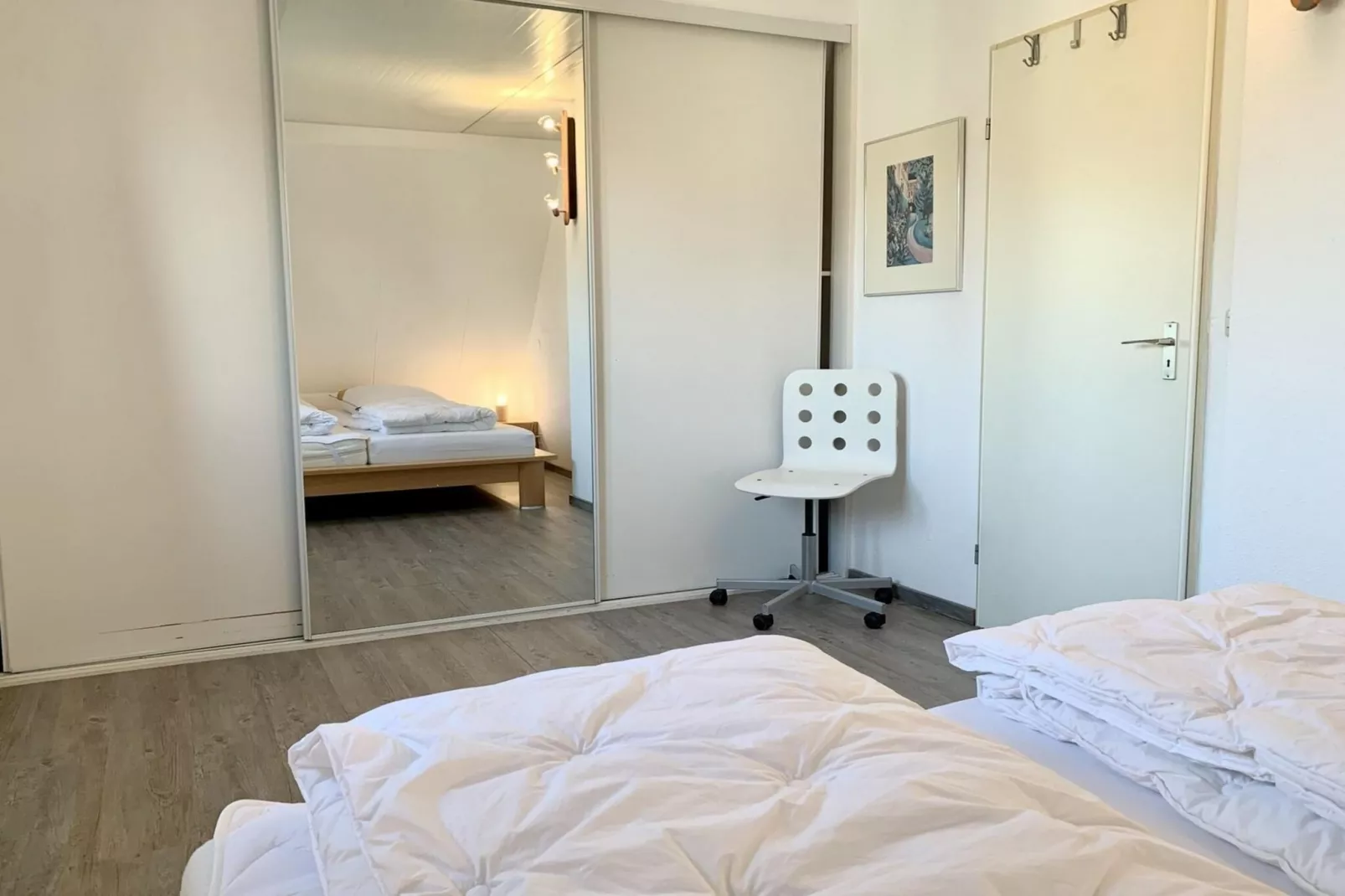 Campanula 54 - Terrace balcony