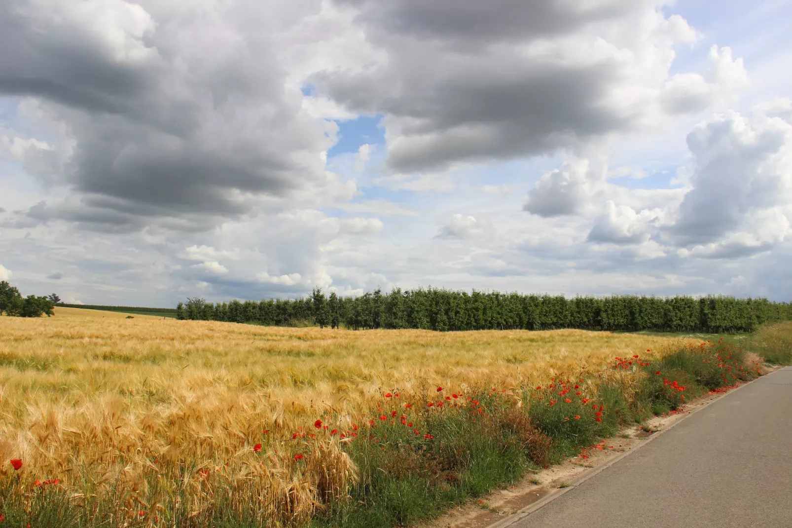 Heers Beneden - Gebiete Sommer 1 km