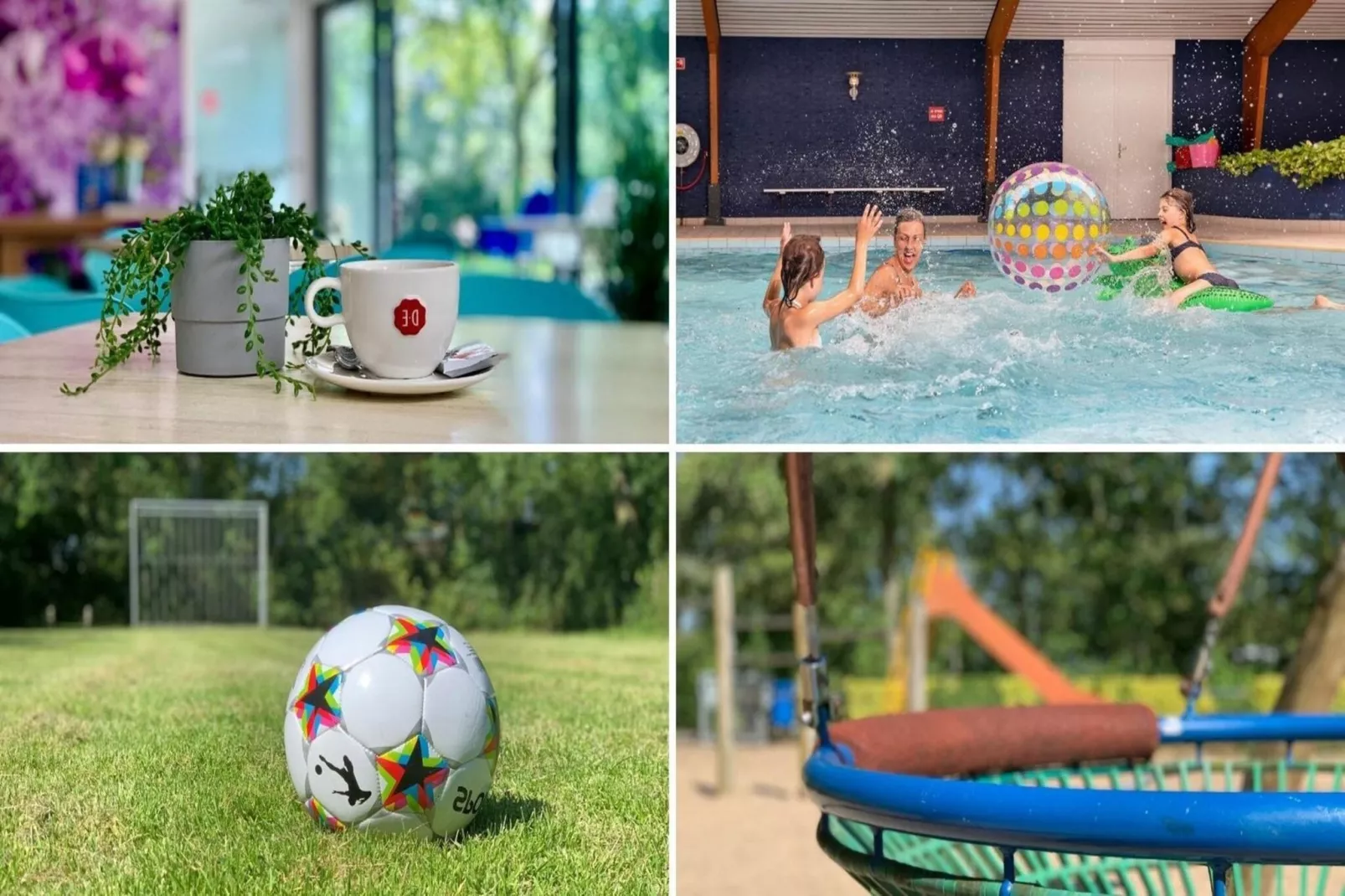 Campanula 54 - Facilities