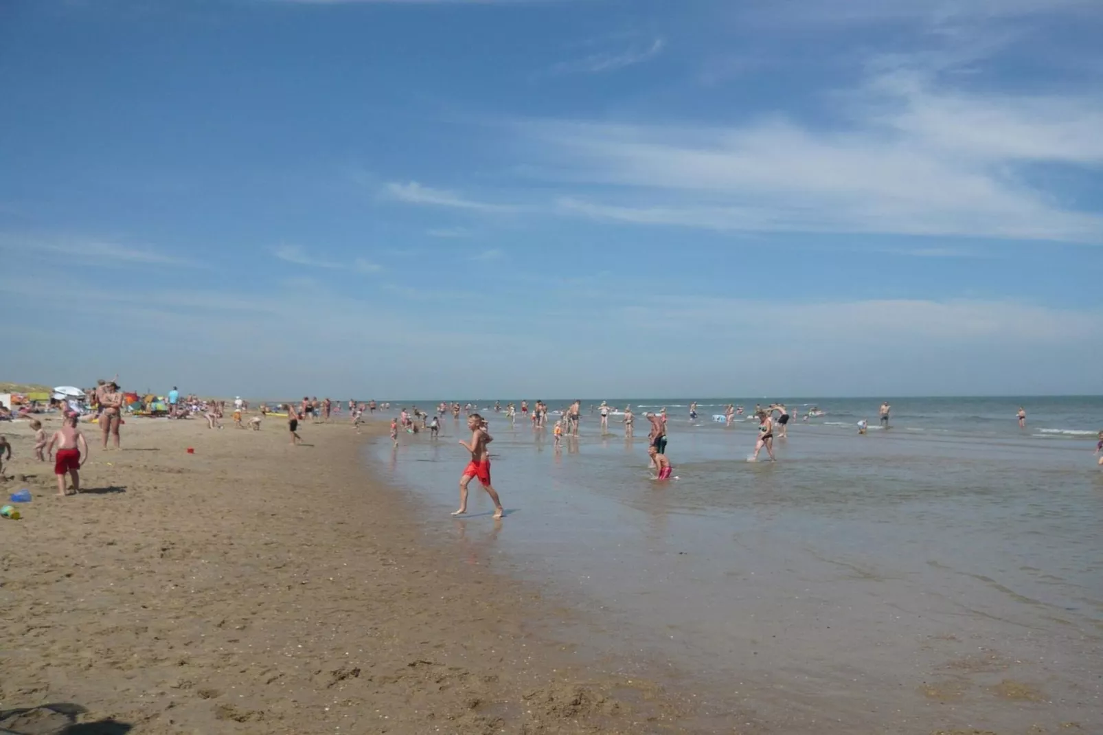 Campanula 54 - Areas within 5km in summer