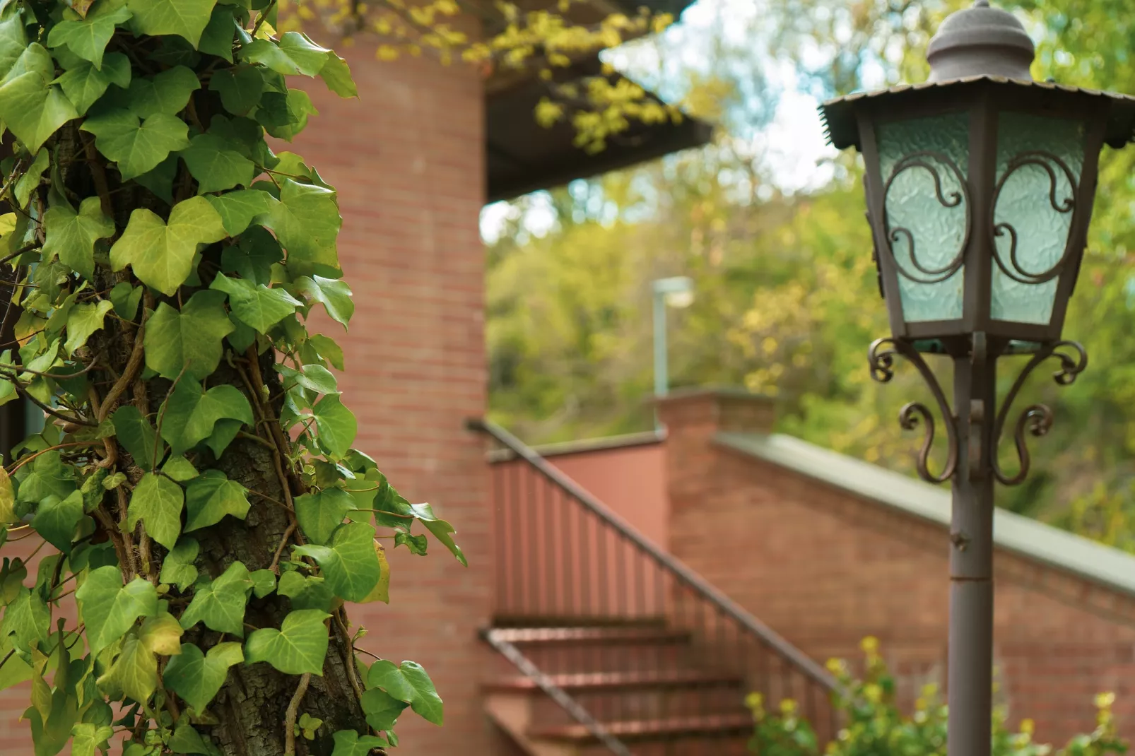 Assisi C6 - 4 pax - Exterior in summer