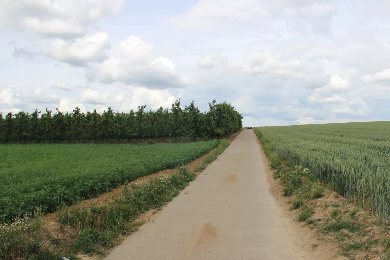 Heers Beneden - Gebiete Sommer 20 km