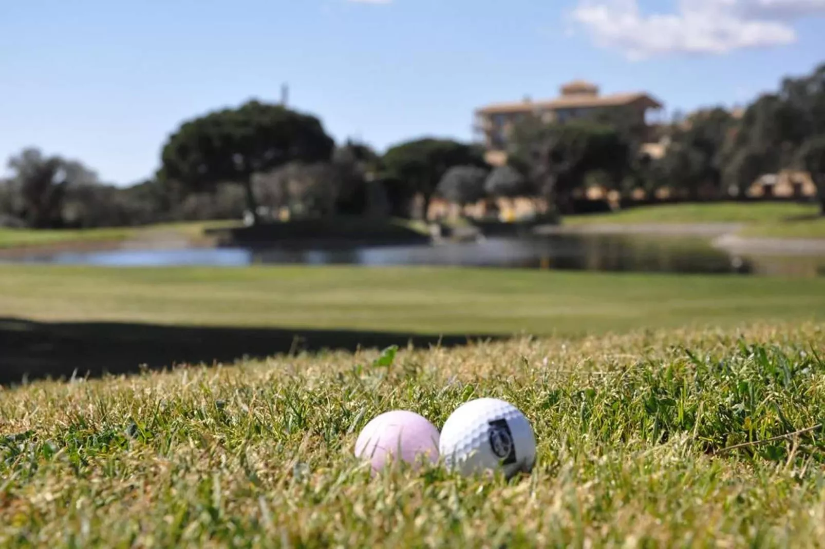 Hapi Mas Nou 2/2/4 - Areas within 20km in summer