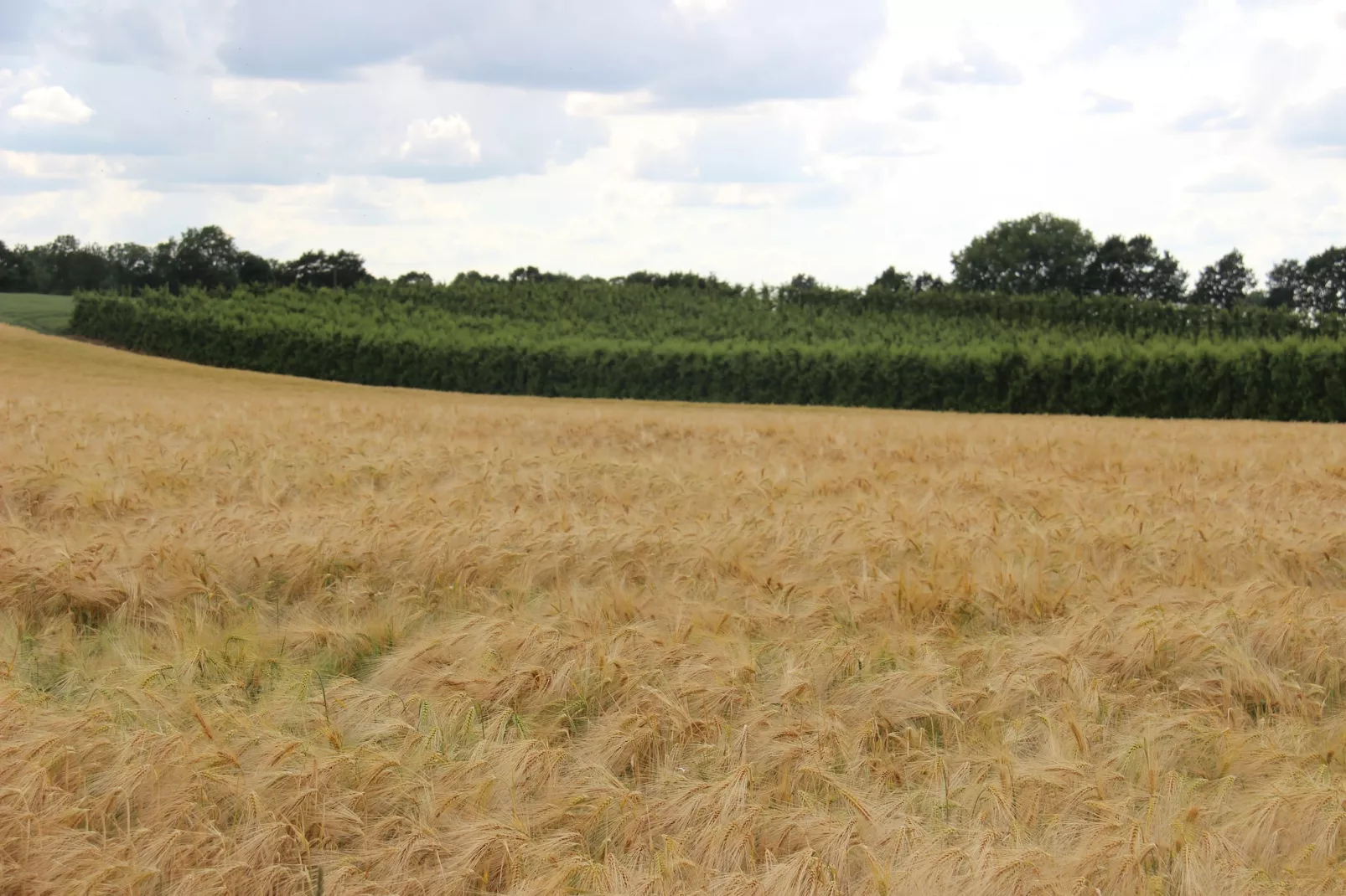 Heers Beneden - Gebiete Sommer 20 km