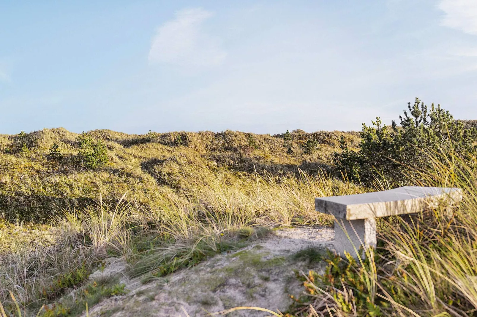 6 person holiday home in Ålbæk-By Traum-View