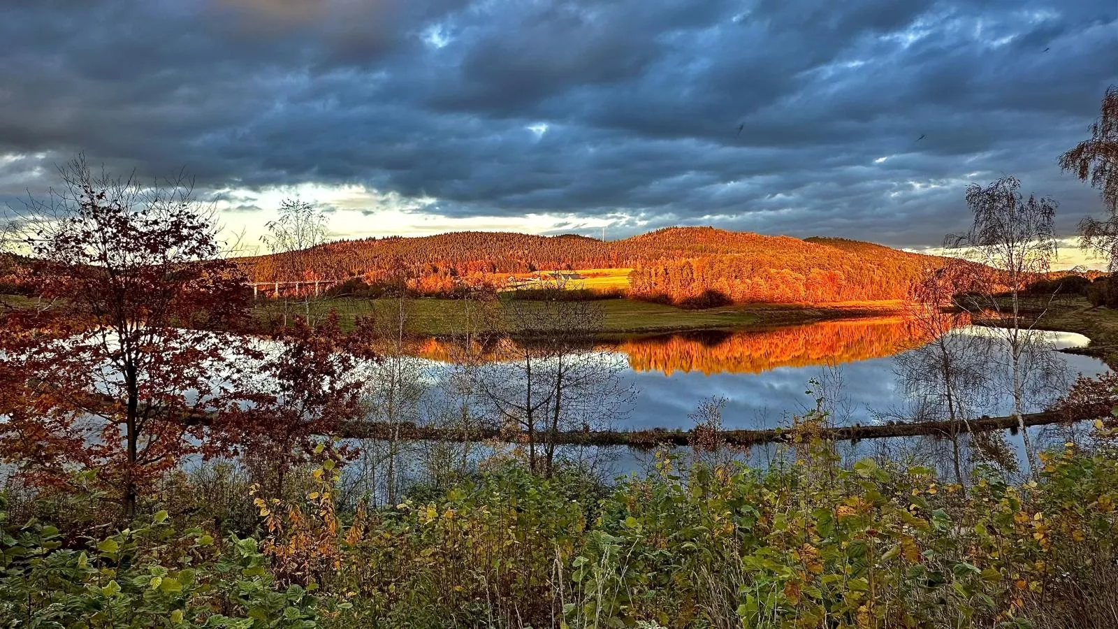 Feriendorf Seeblick - Tiny Nr 1 - Water view