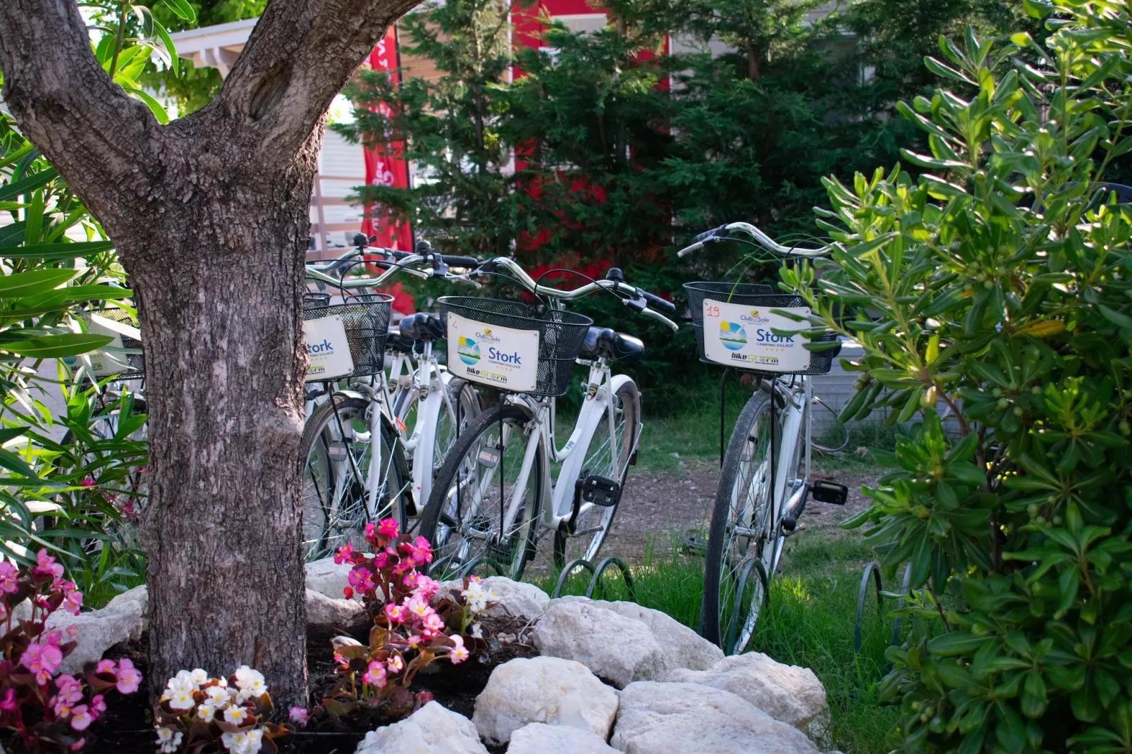 Stork Family Collection - LODGE SUPERIOR DOG max cap 4 pax - Parkeinrichtungen