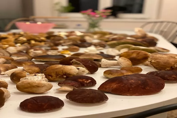 Leśniczówka Szeroki Bór Pisz - Kitchen