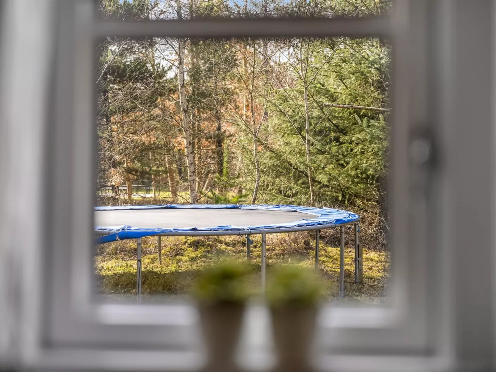 "Granke" - 3.8km from the sea - Outside