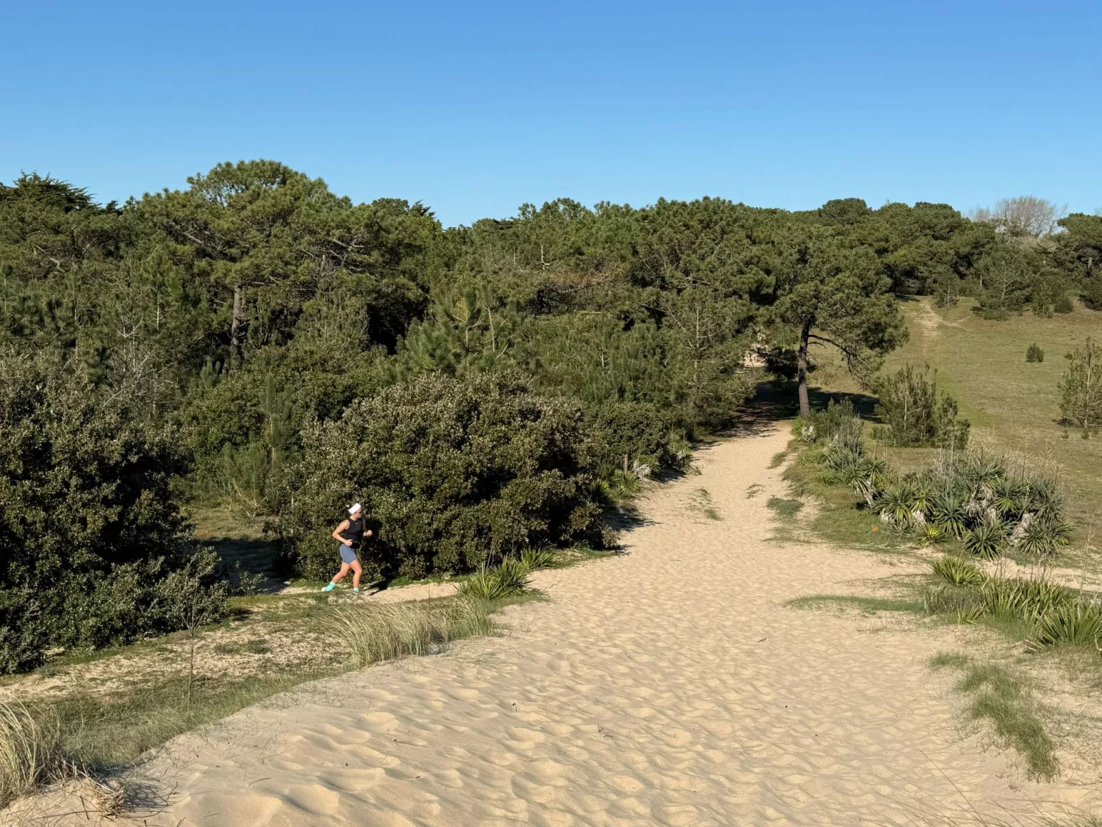 Maison de charme Les Yuccas - Dehors