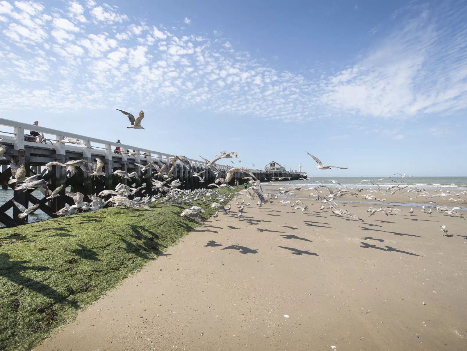 Wanderlust Belgium with parking - Outside