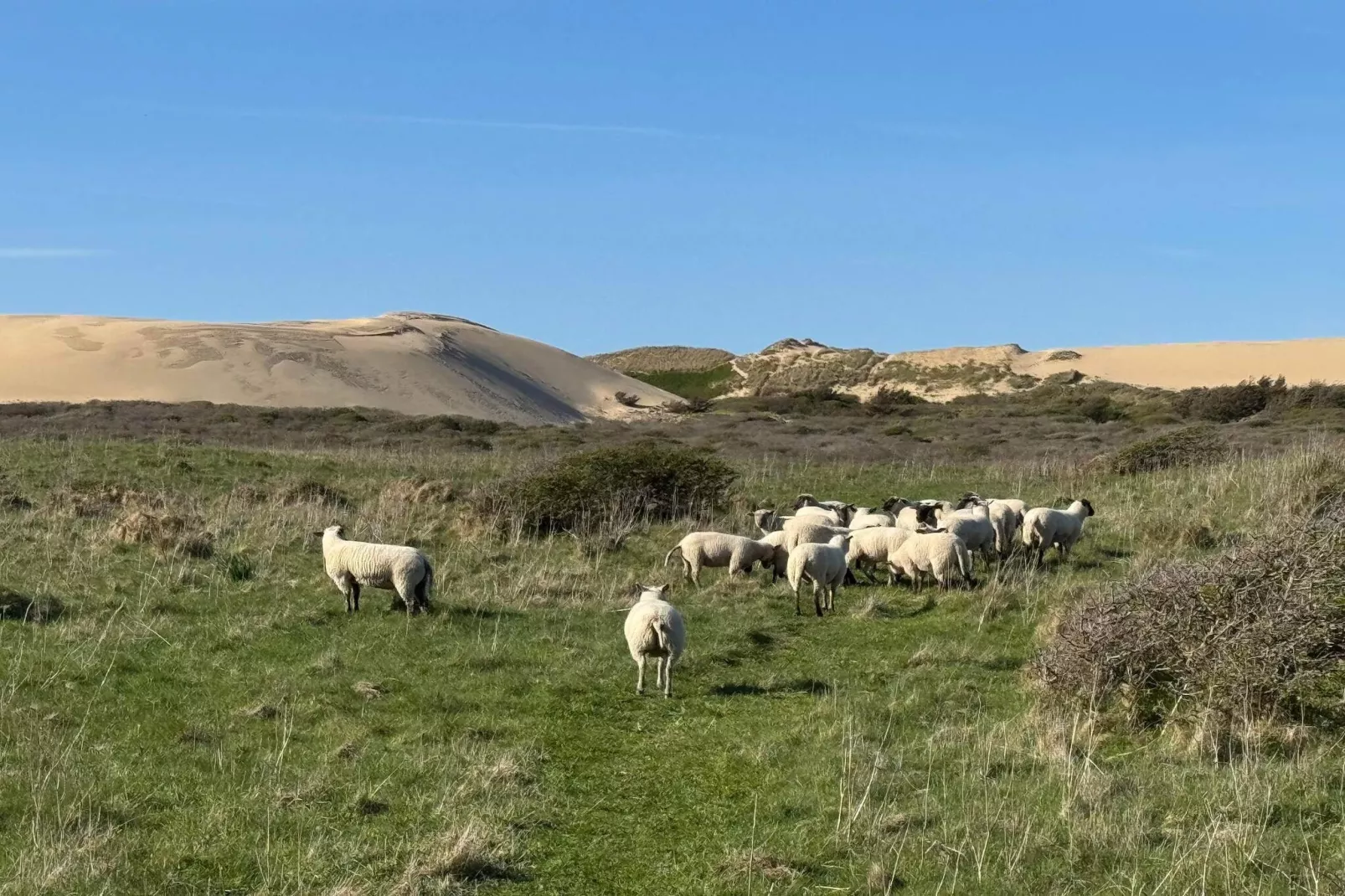 4 etoiles maison de vacances a Løkken - Extérieur