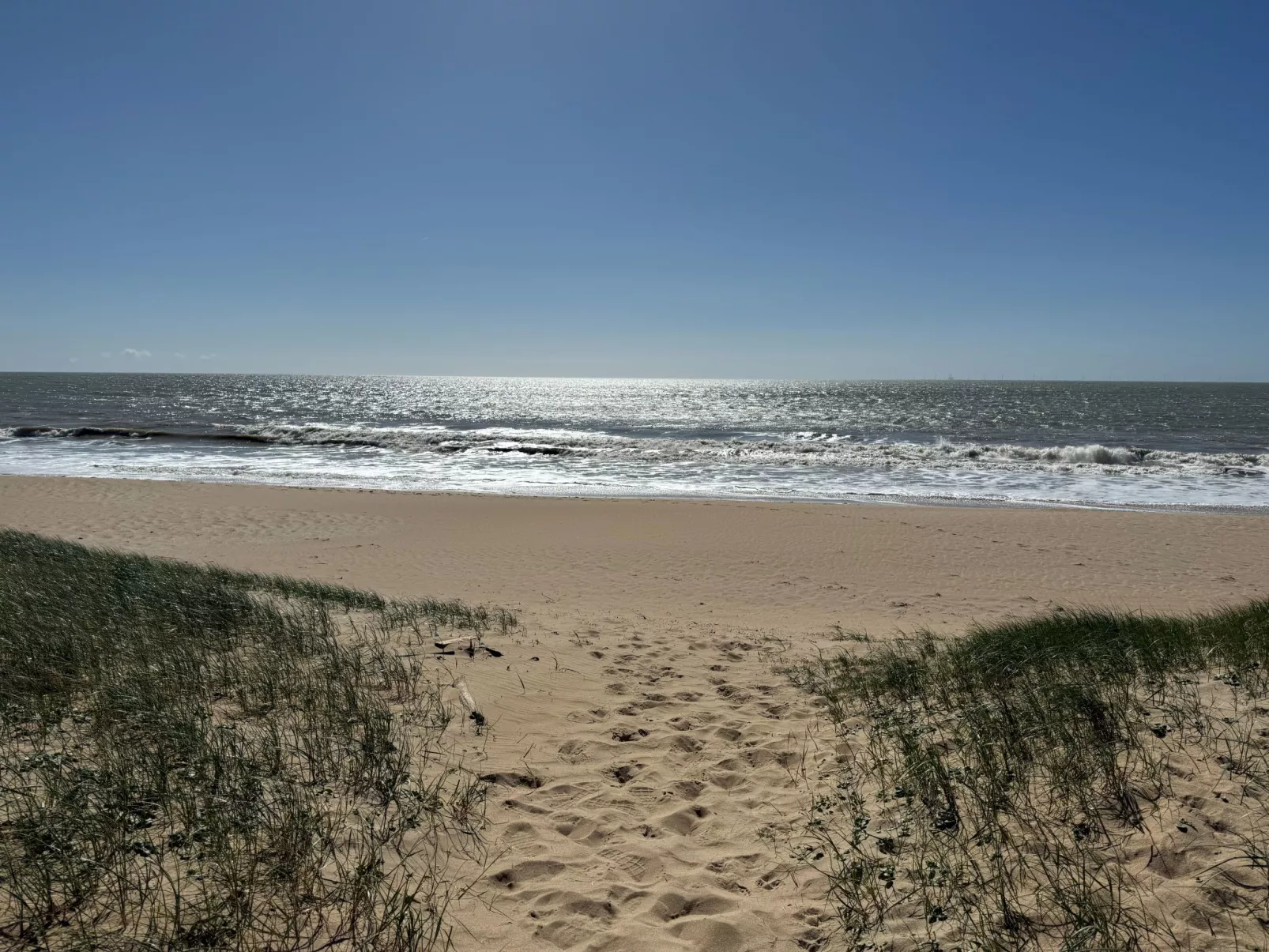 Maison de charme Les Yuccas - Dehors